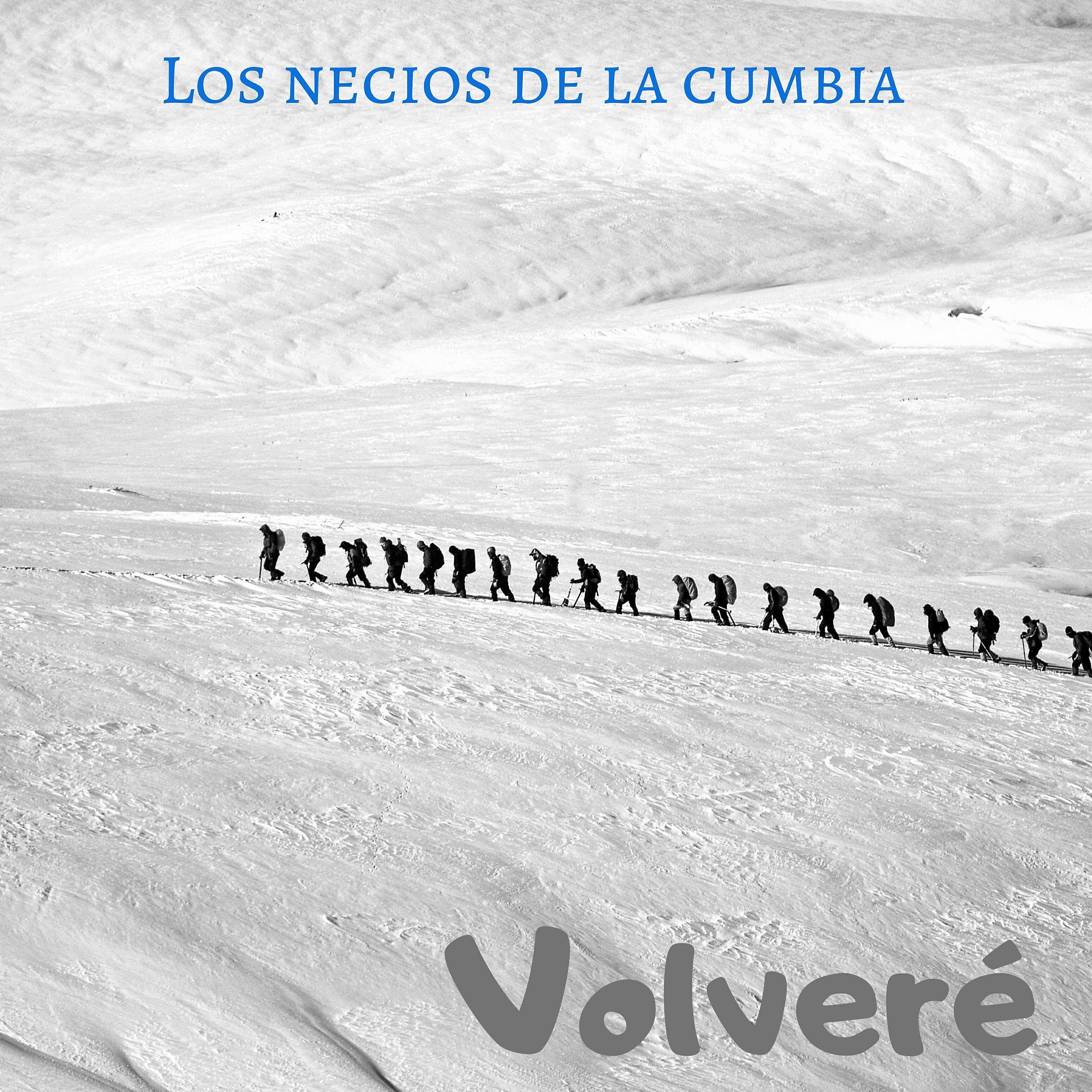 Los necios de la cumbia