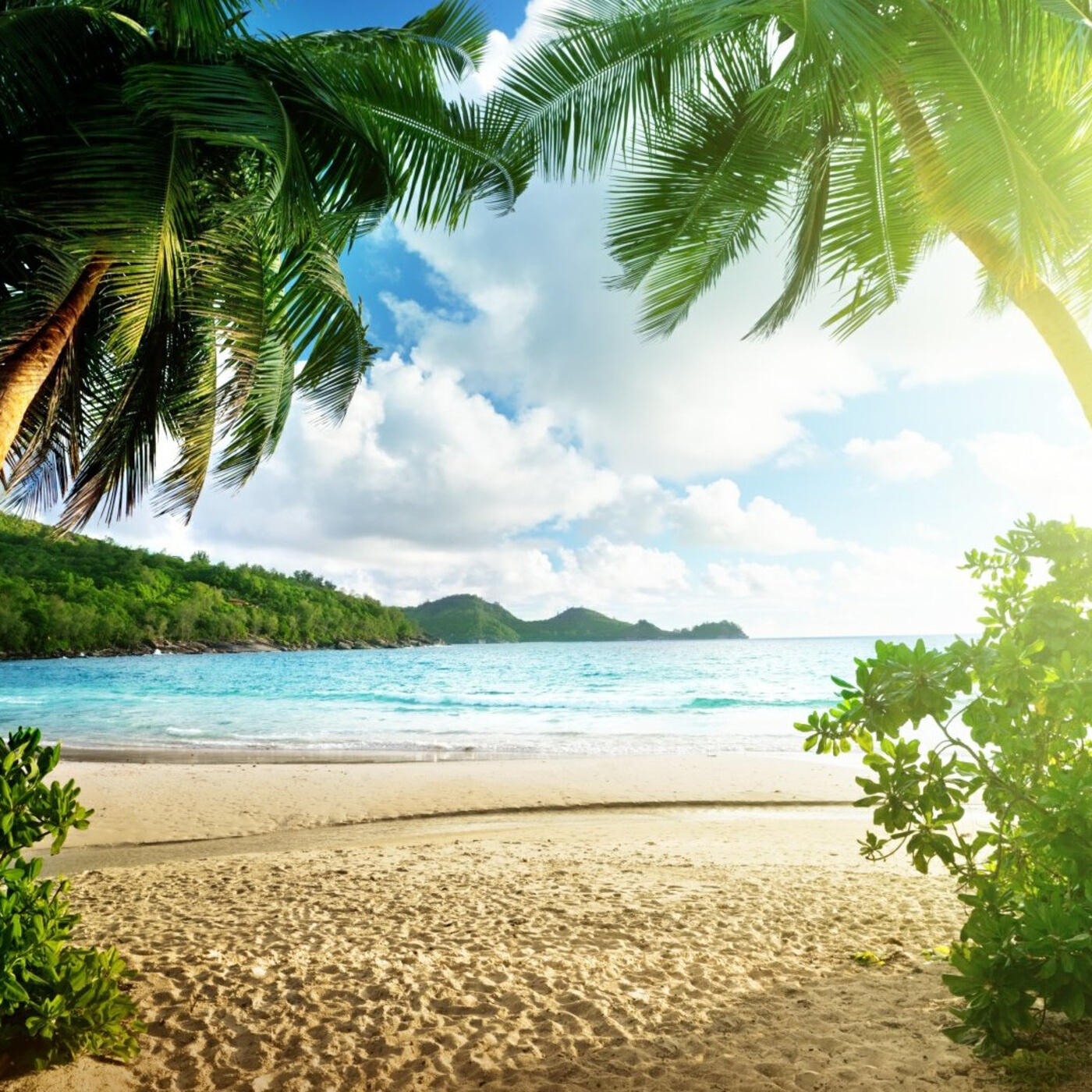 Релиз Summer Vibe