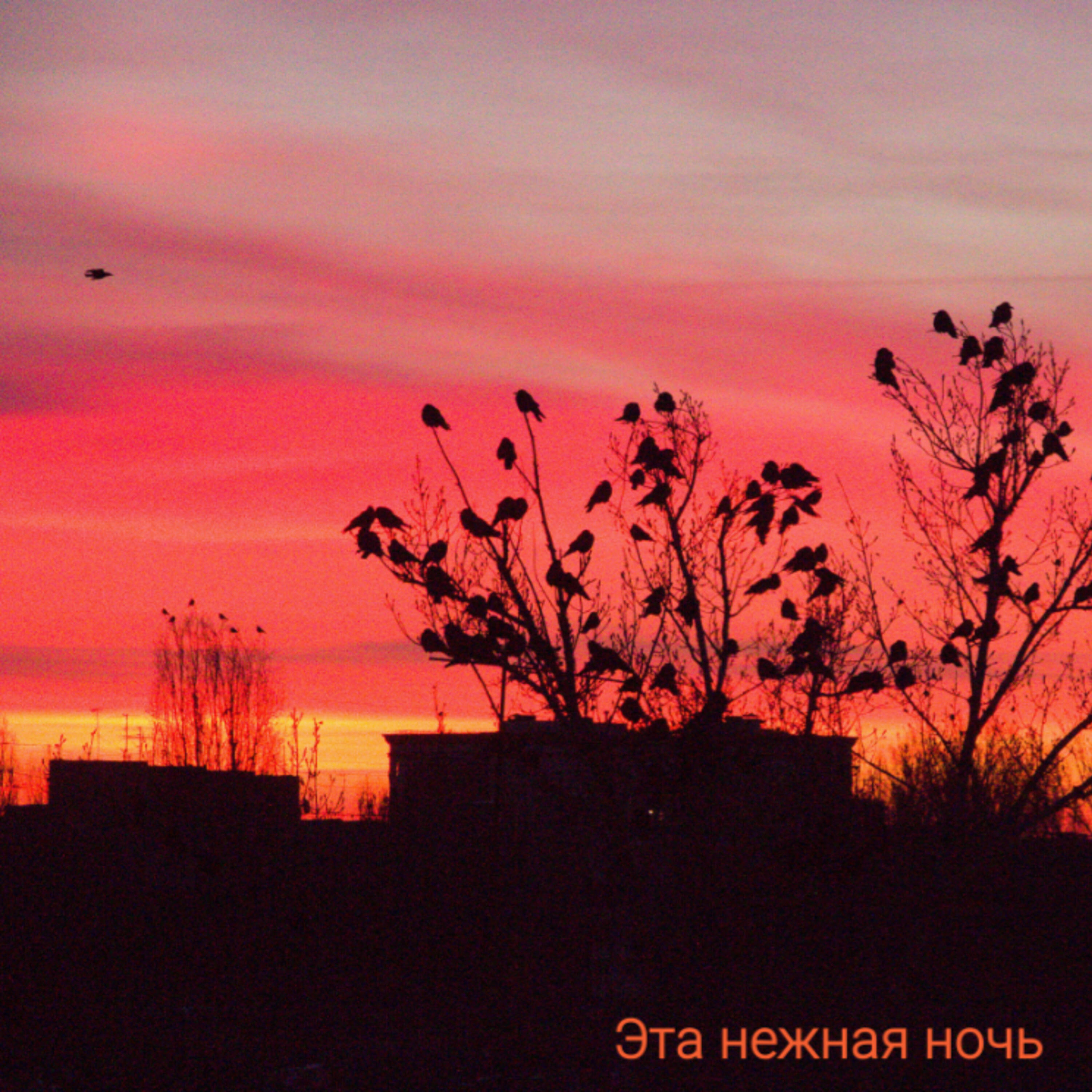 Релиз Эта нежная ночь