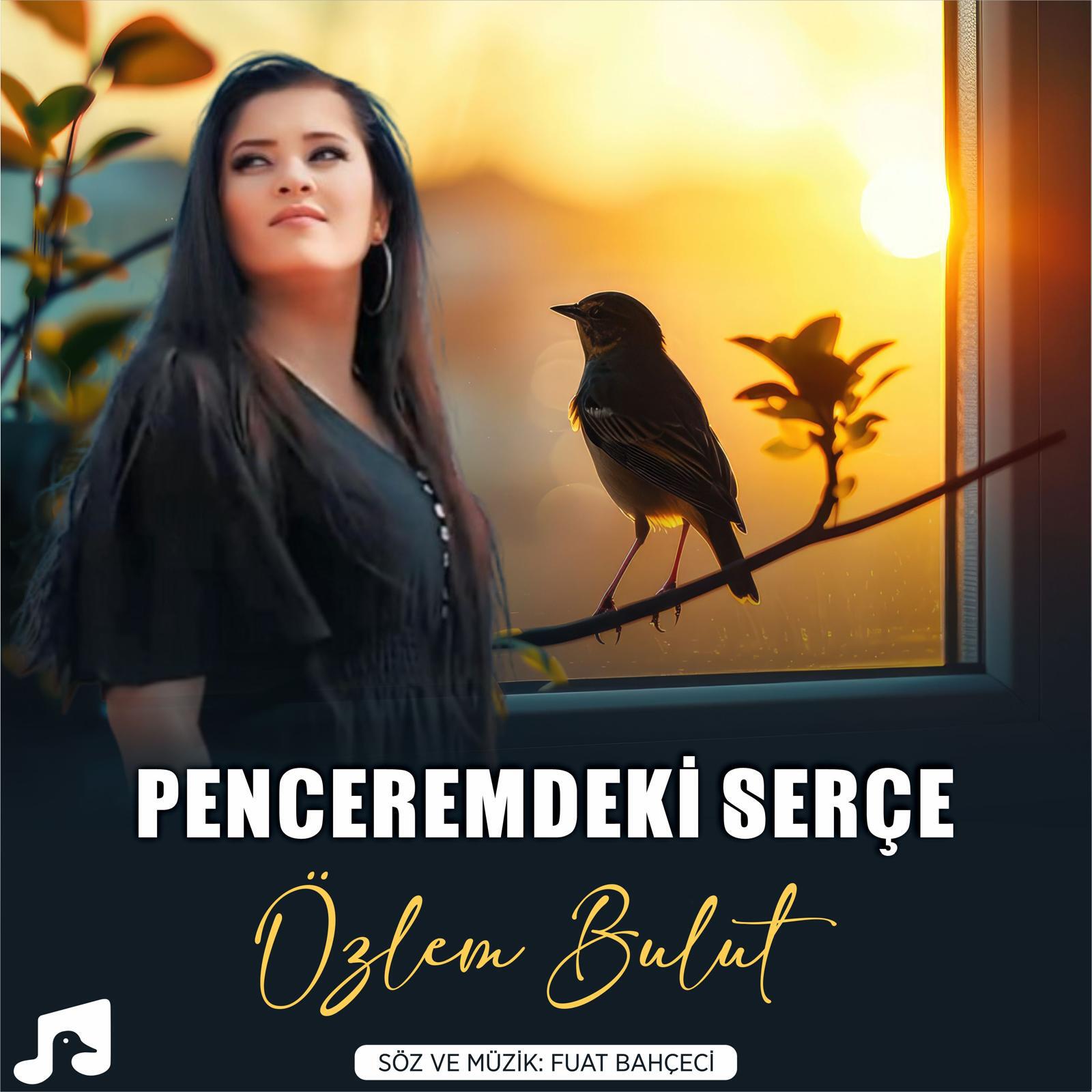 Релиз Penceremdeki Serçe