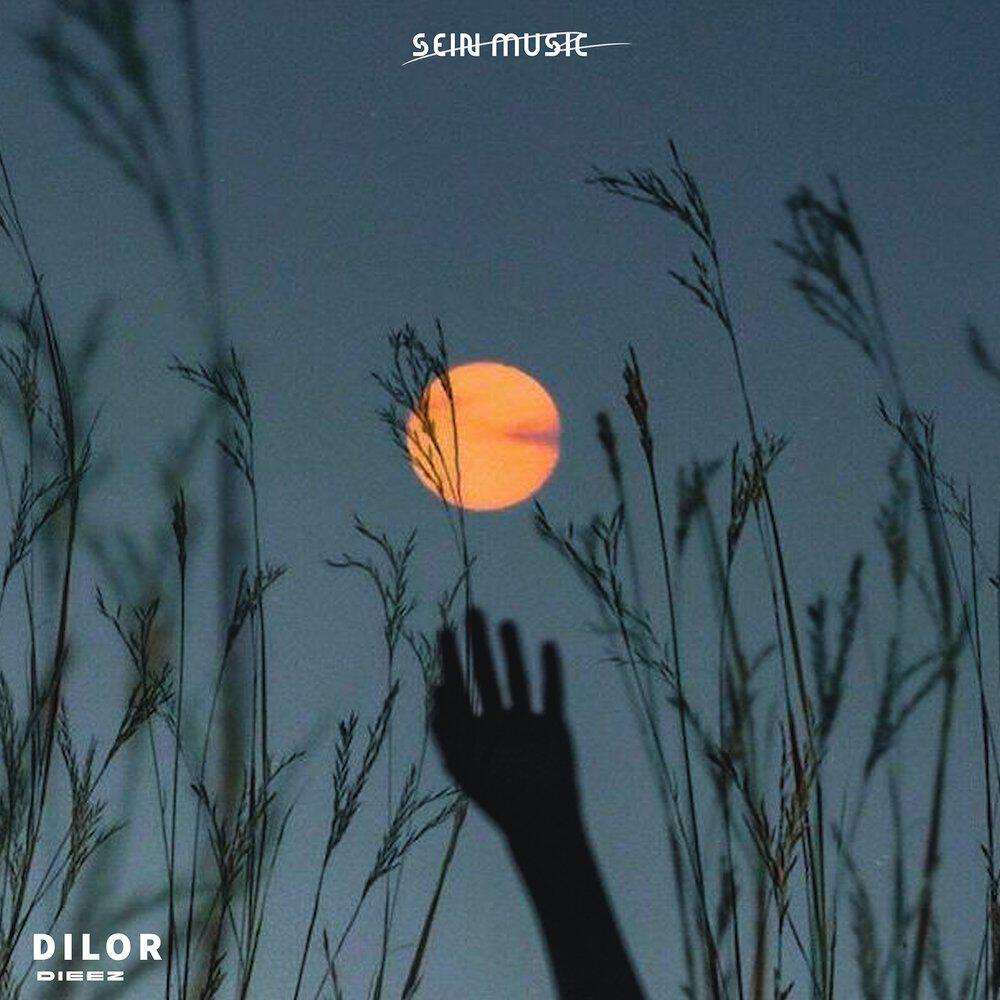 Релиз Dilor