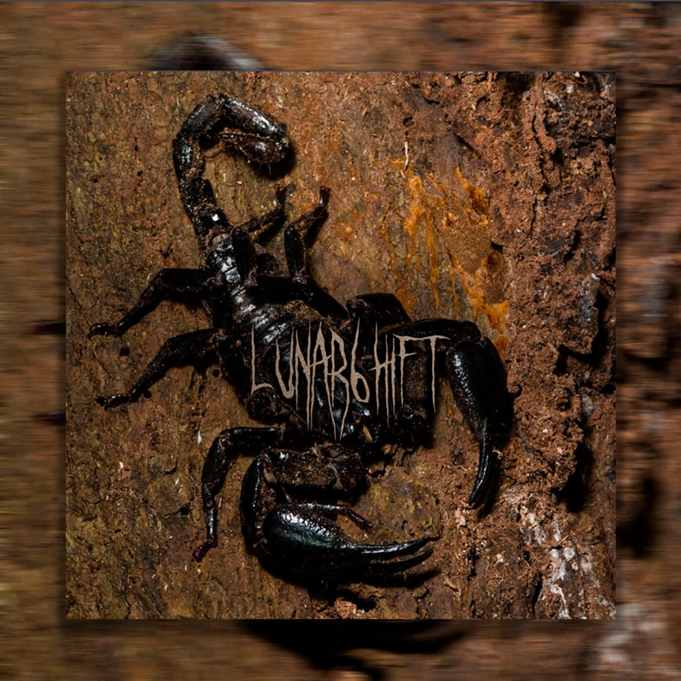 Релиз Lost Reverie