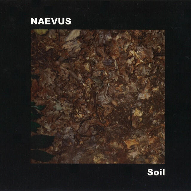 Релиз Soil