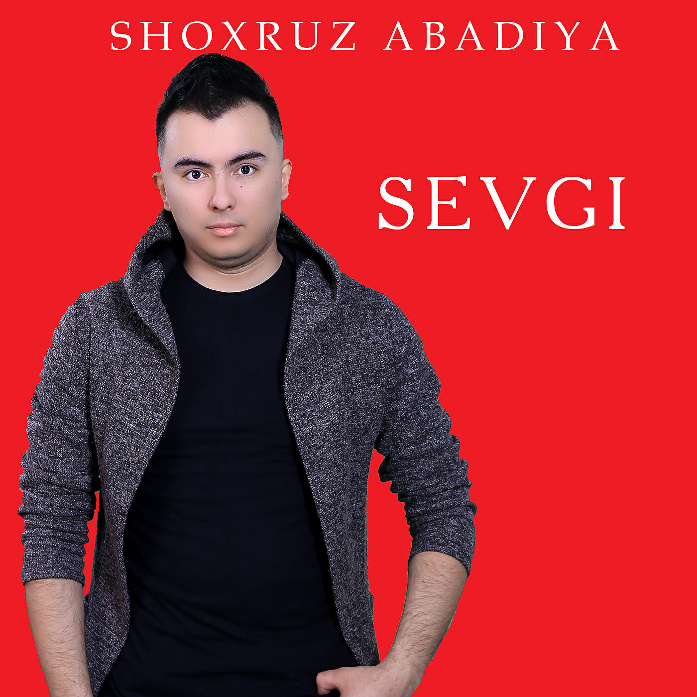 Постер альбома Sevgi