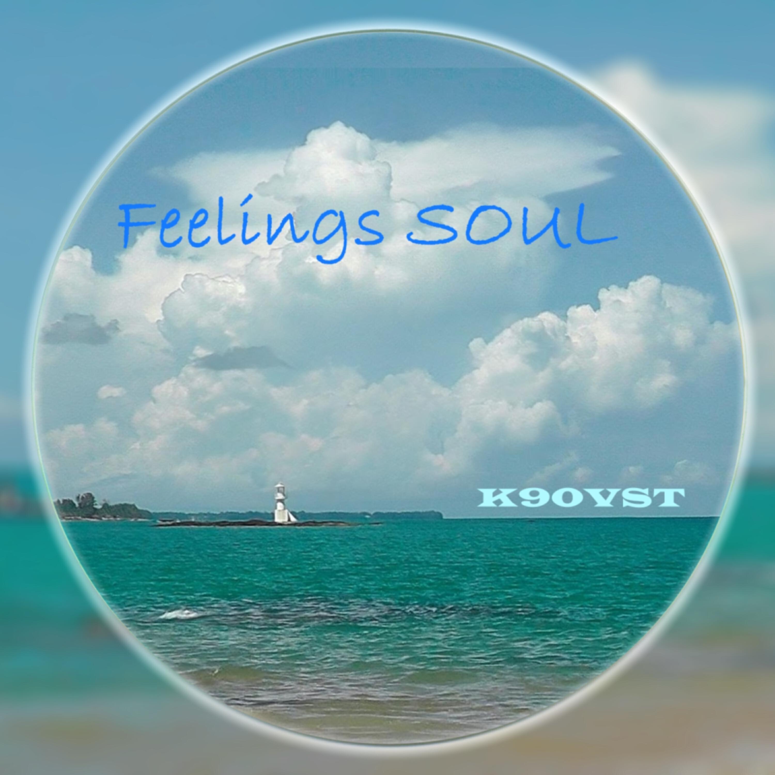 Релиз Feelings Soul