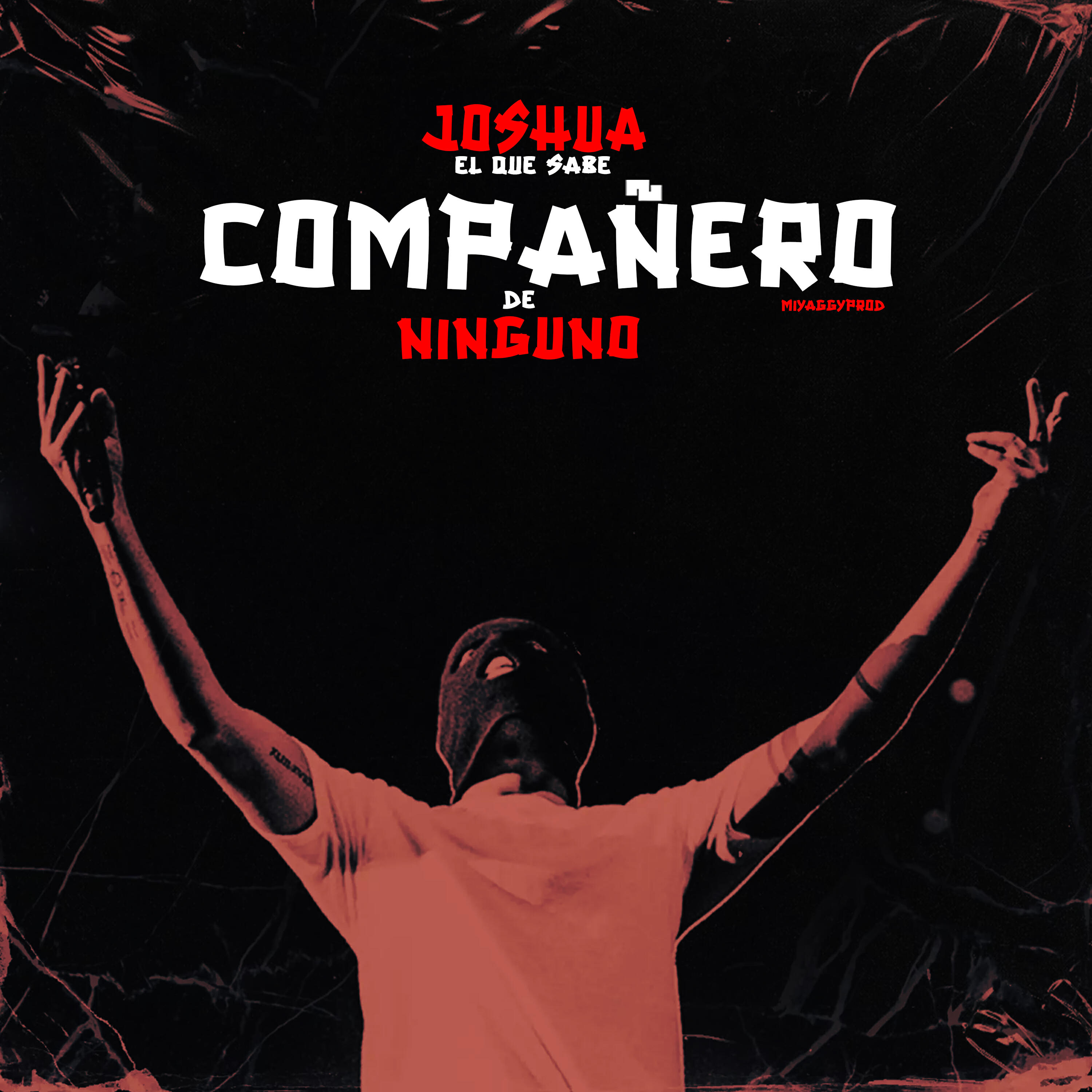 Релиз Compañero de Ninguno
