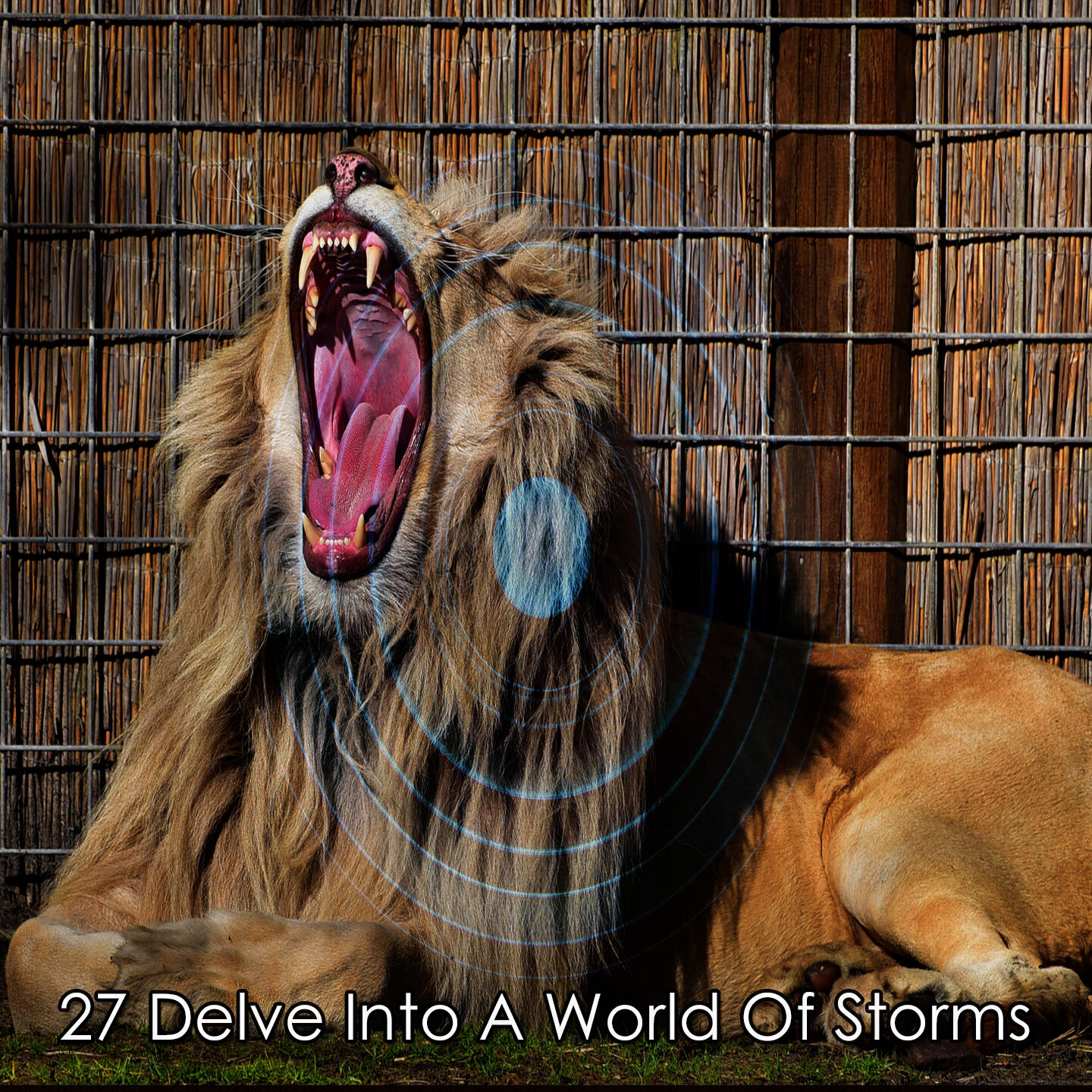 Релиз 27 Delve Into A World Of Storms
