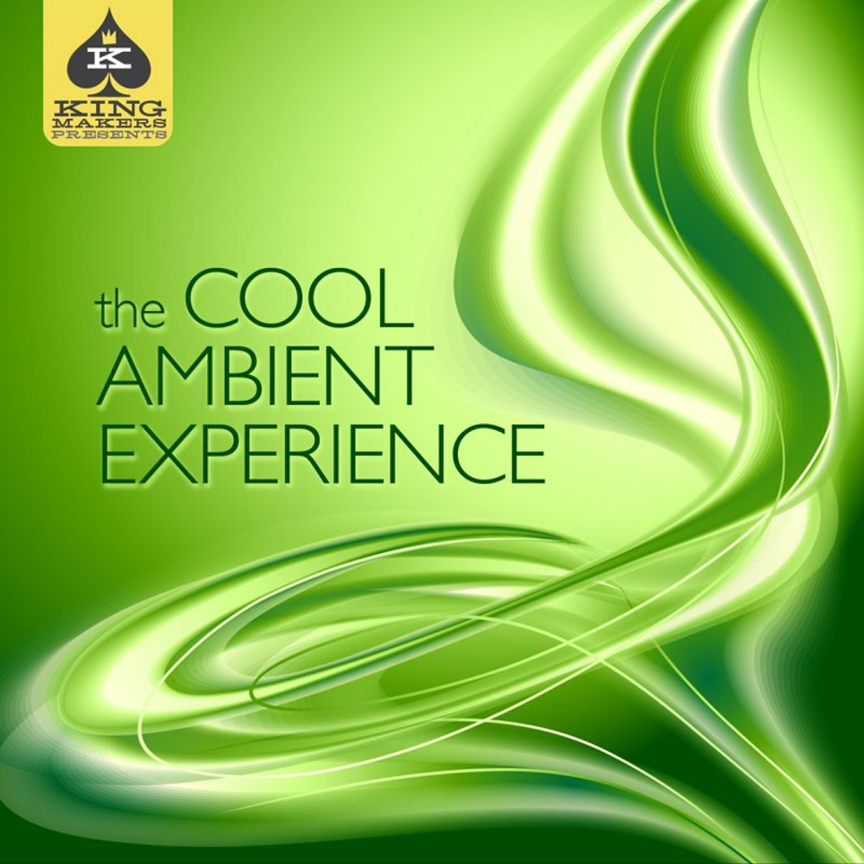 Релиз King Makers Presents: The Cool Ambient Experience