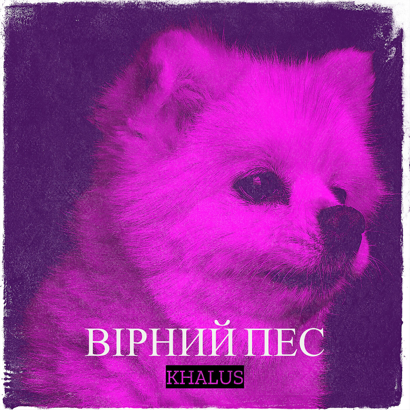 Релиз Вірний пес