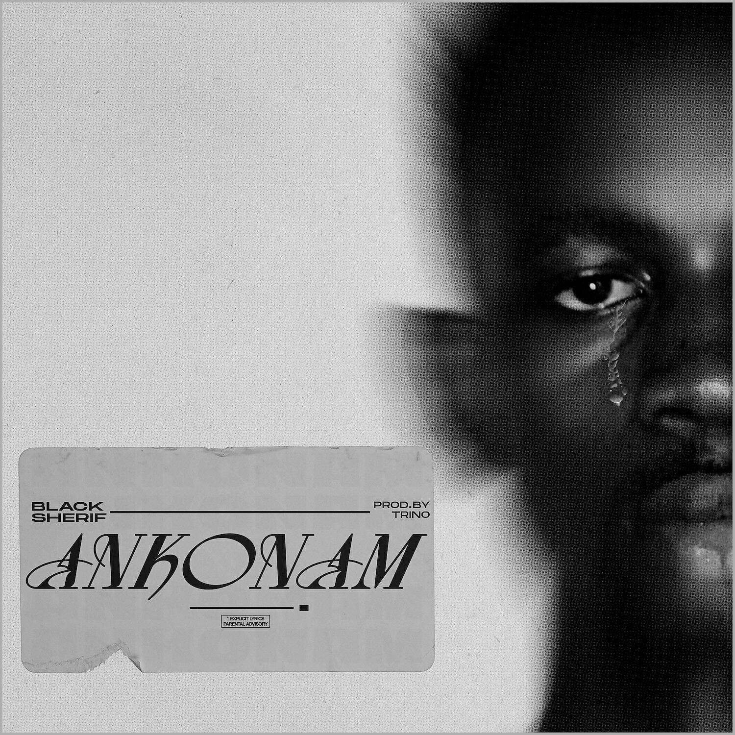 Релиз Ankonam