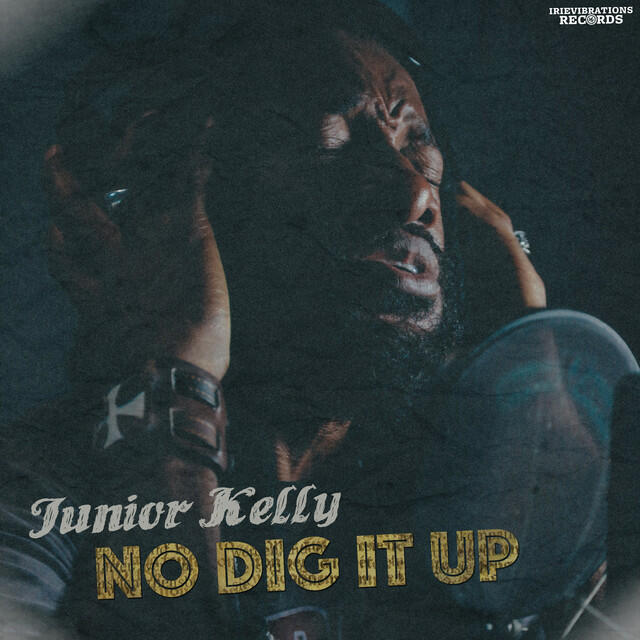 Релиз No Dig It Up