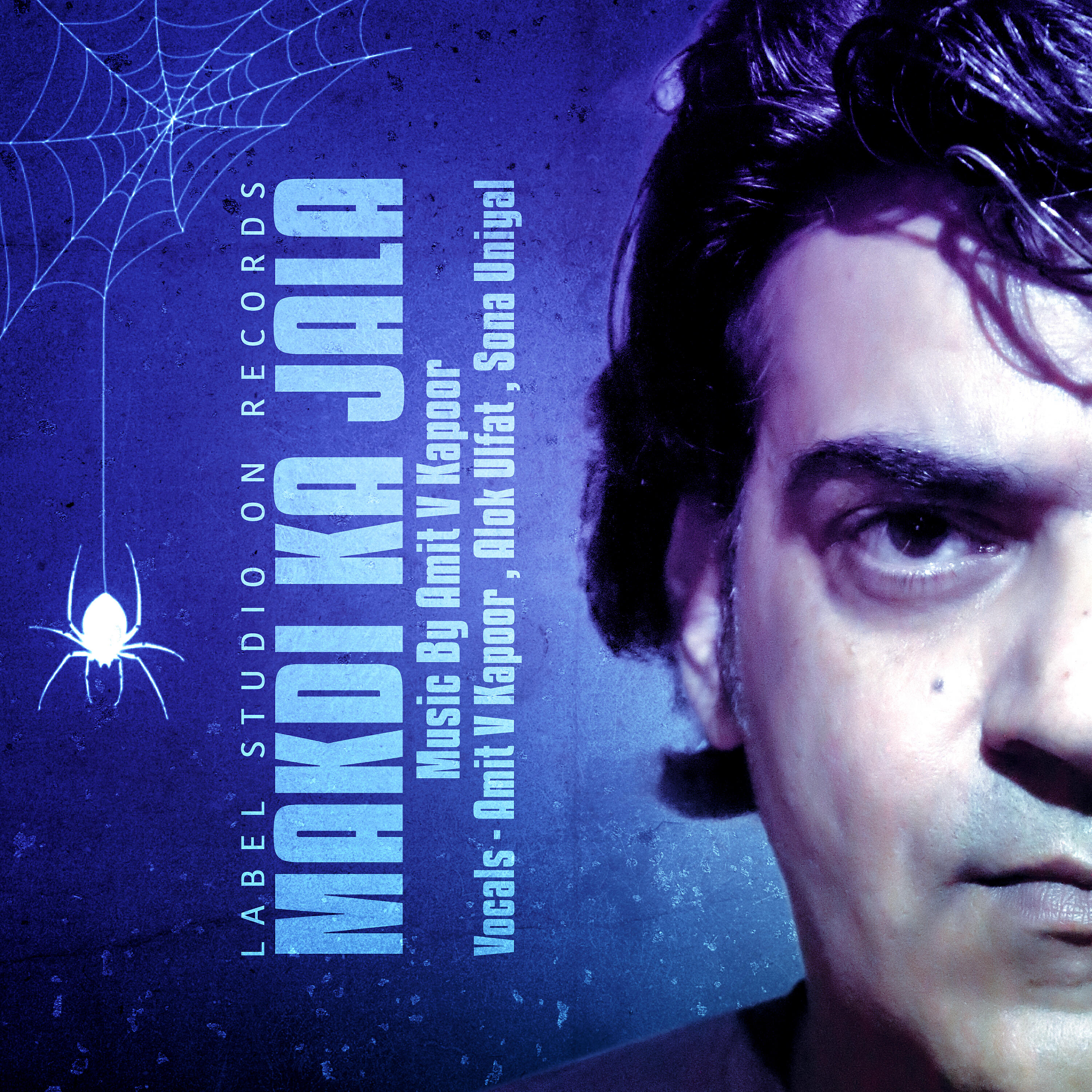 Amit V Kapoor