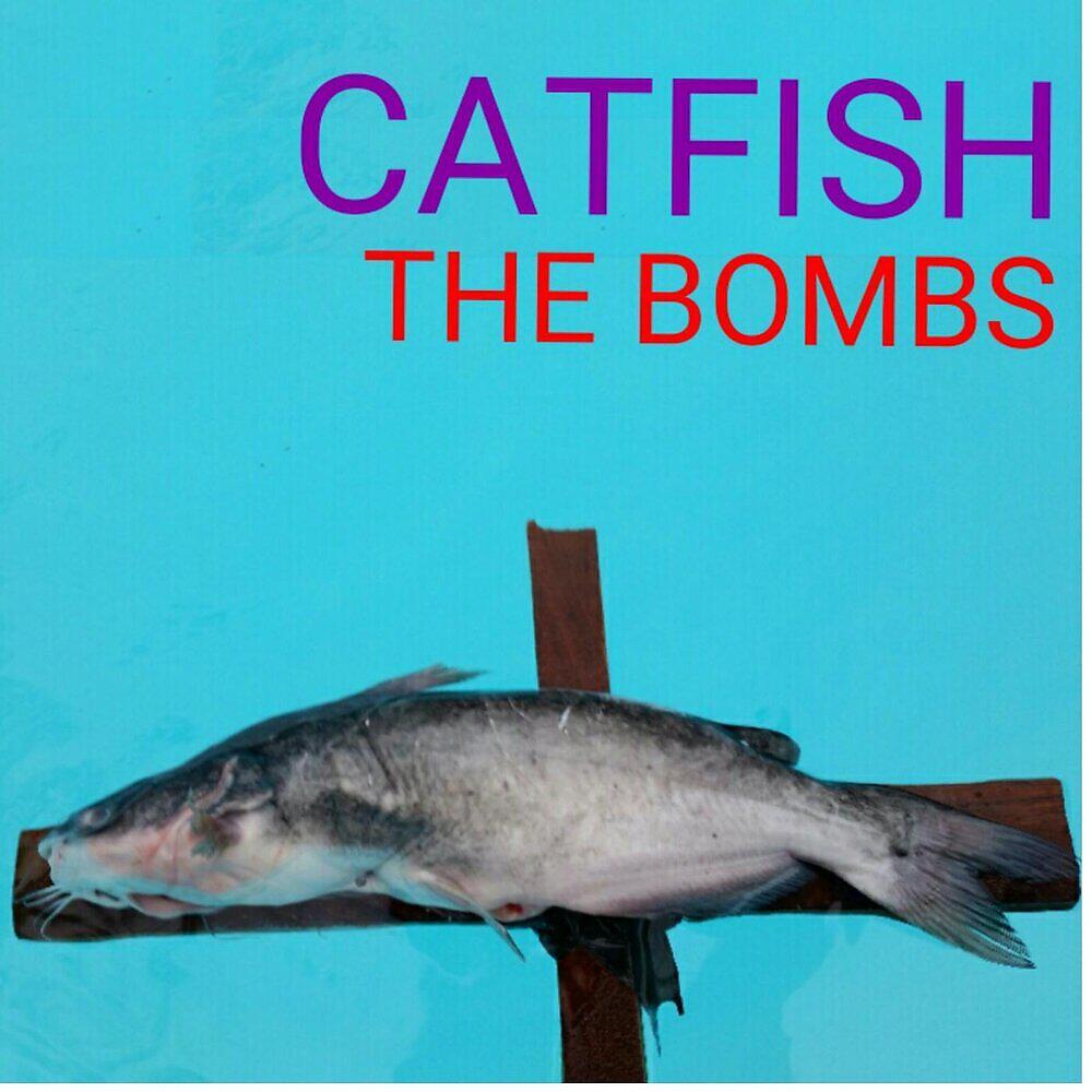 Релиз Catfish