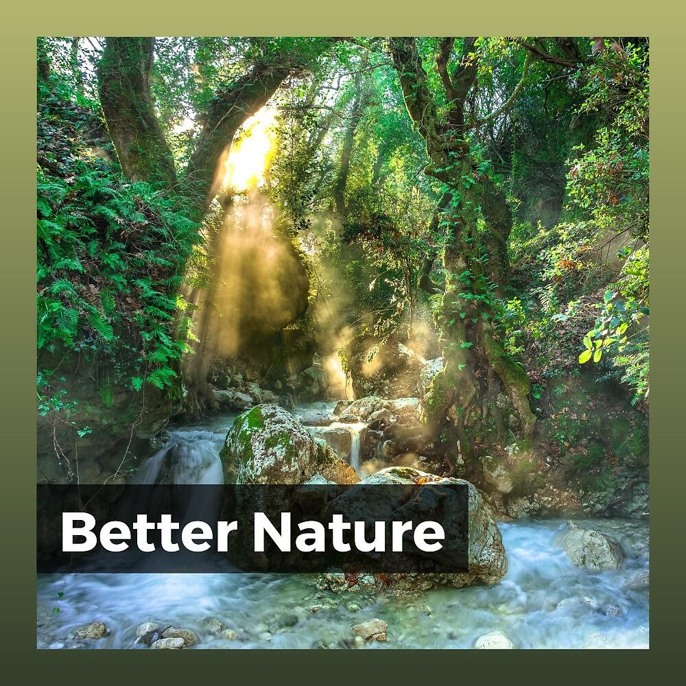 Релиз Better Nature