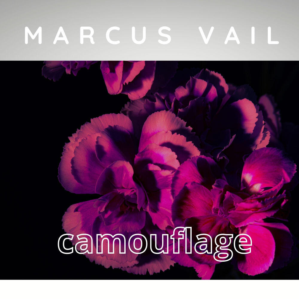 Релиз camouflage