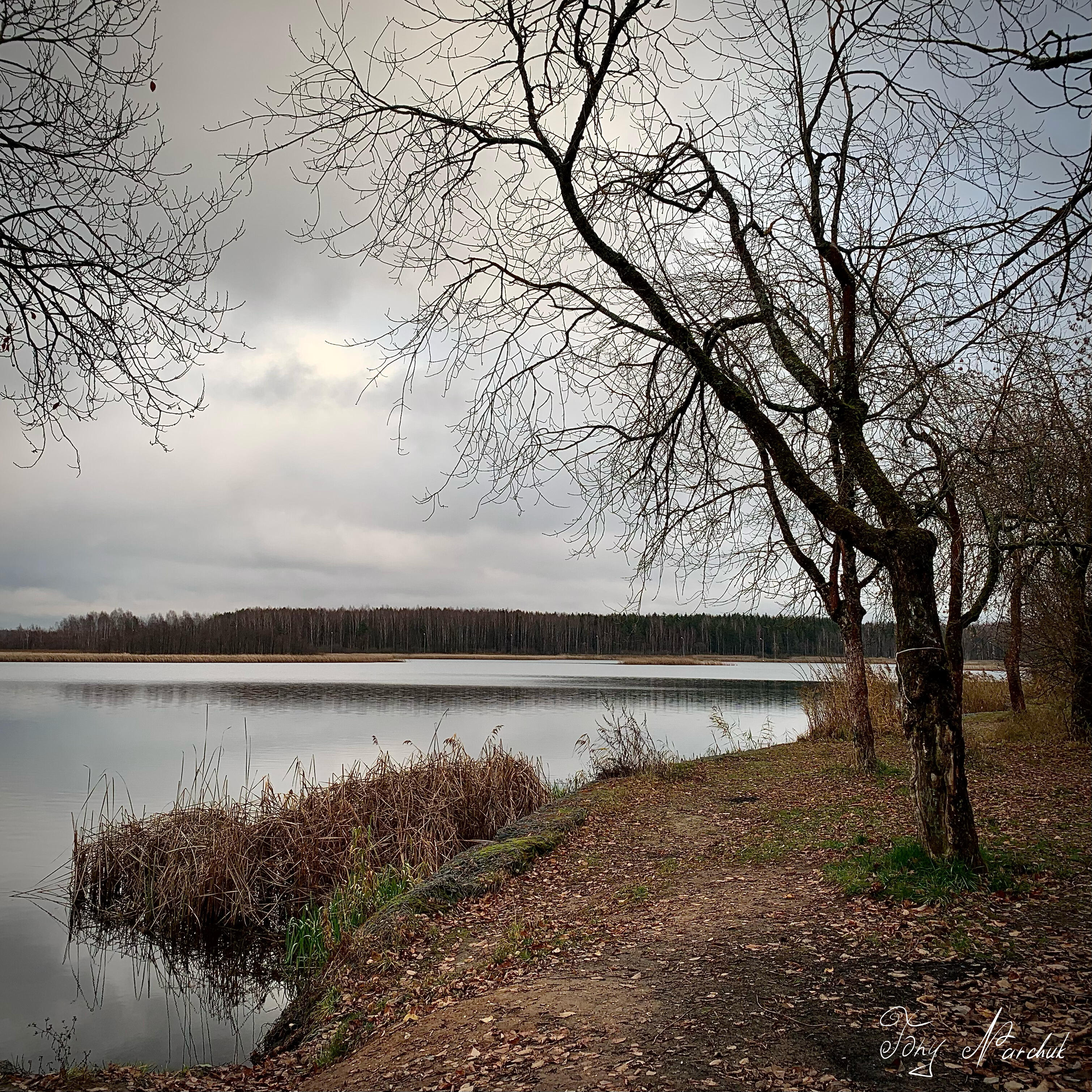 Релиз November
