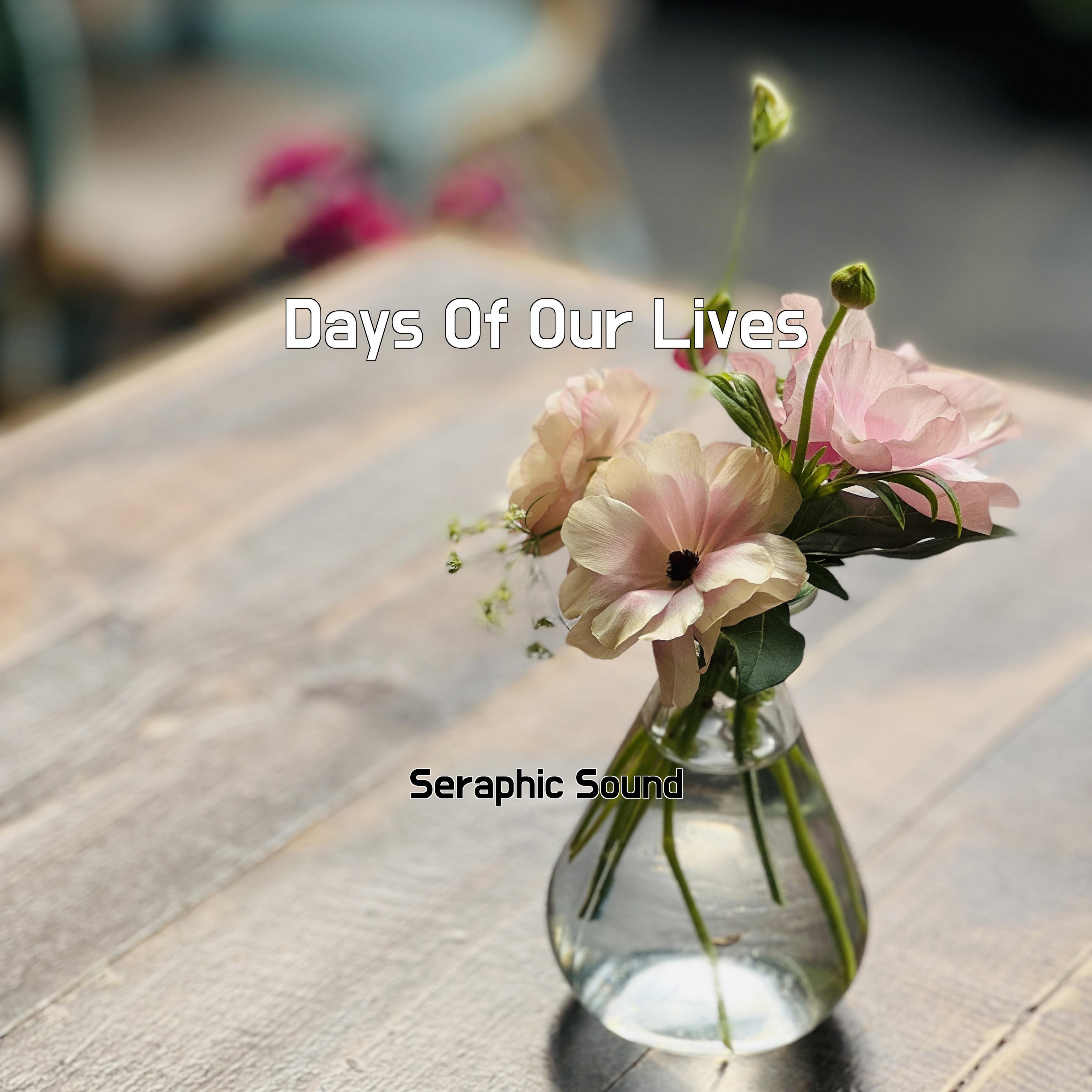 Релиз Days Of Our Lives