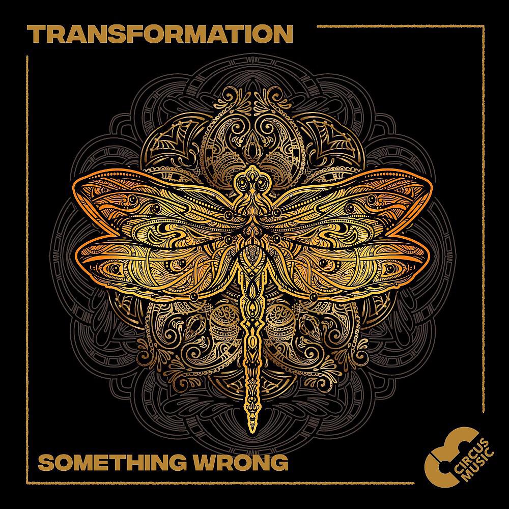 Релиз Something Wrong (Original Mix)