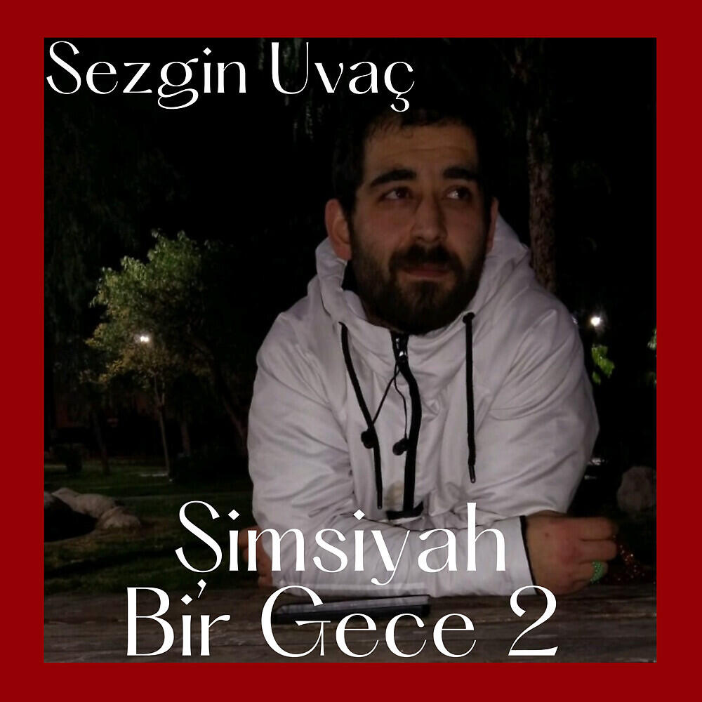 Релиз Simsiyah Bir Gece 2