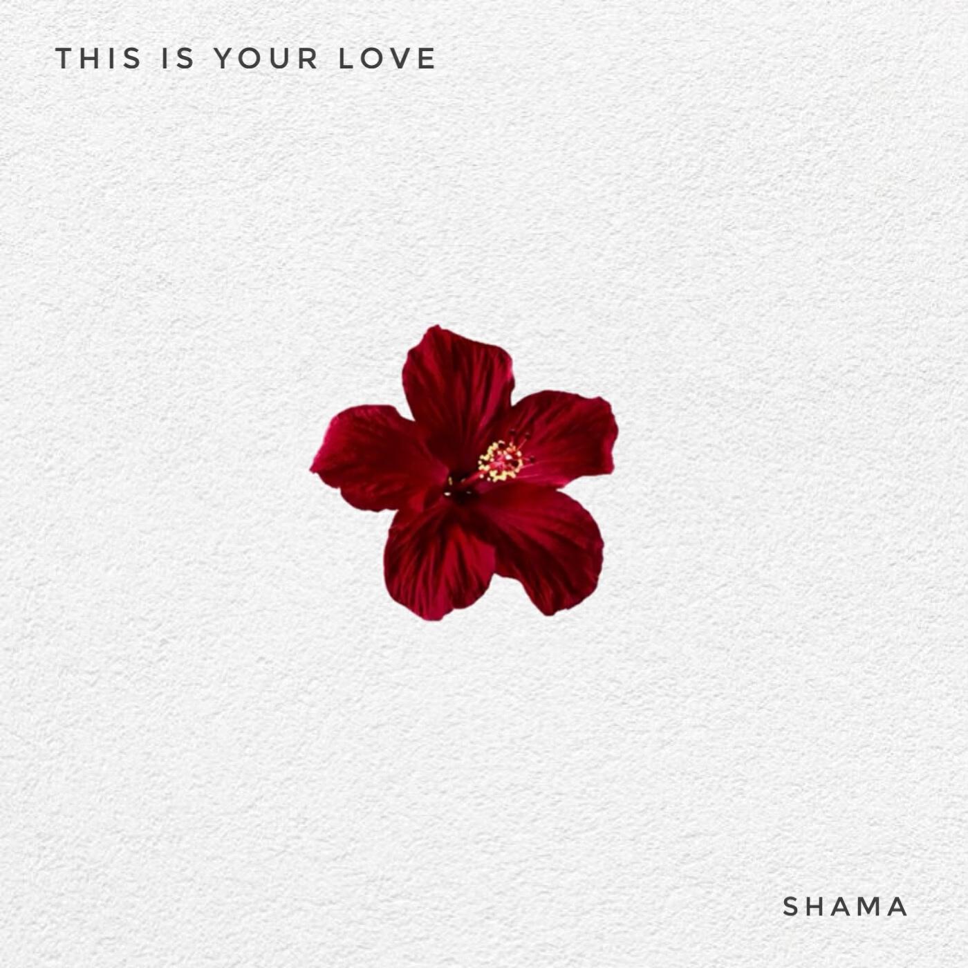 Релиз This is Your Love