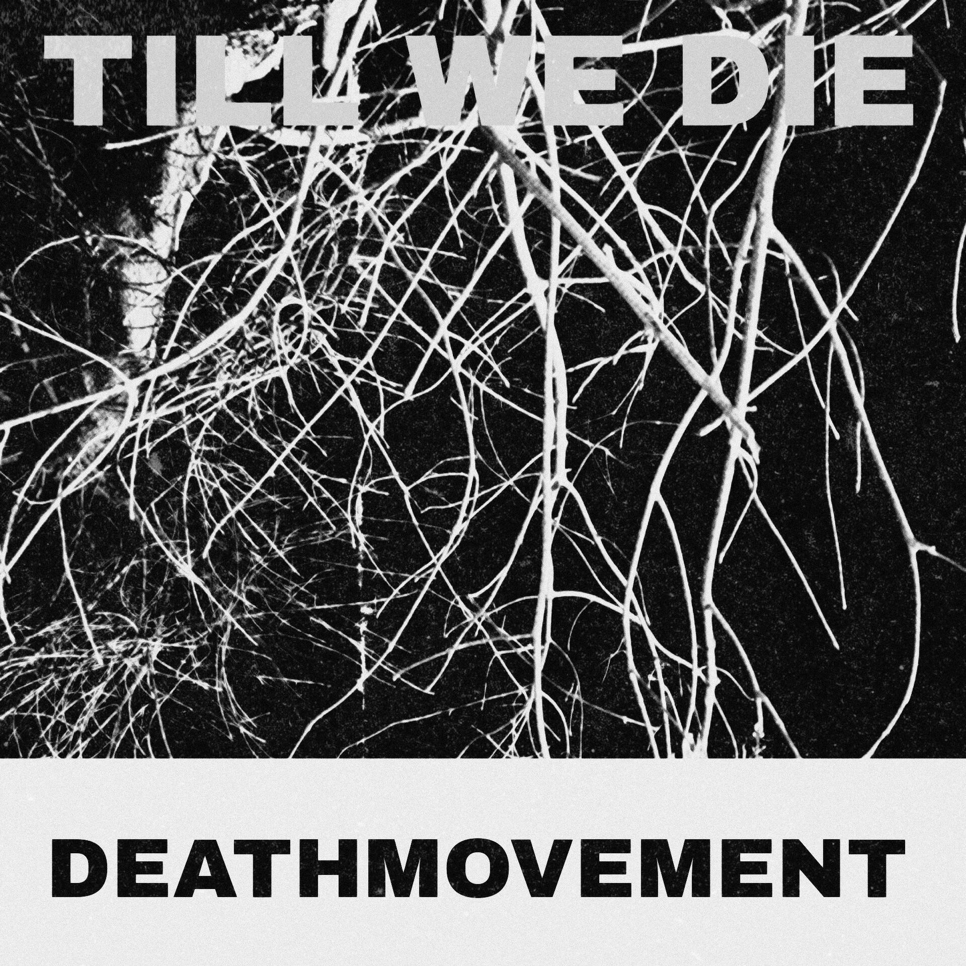 Релиз Till We Die