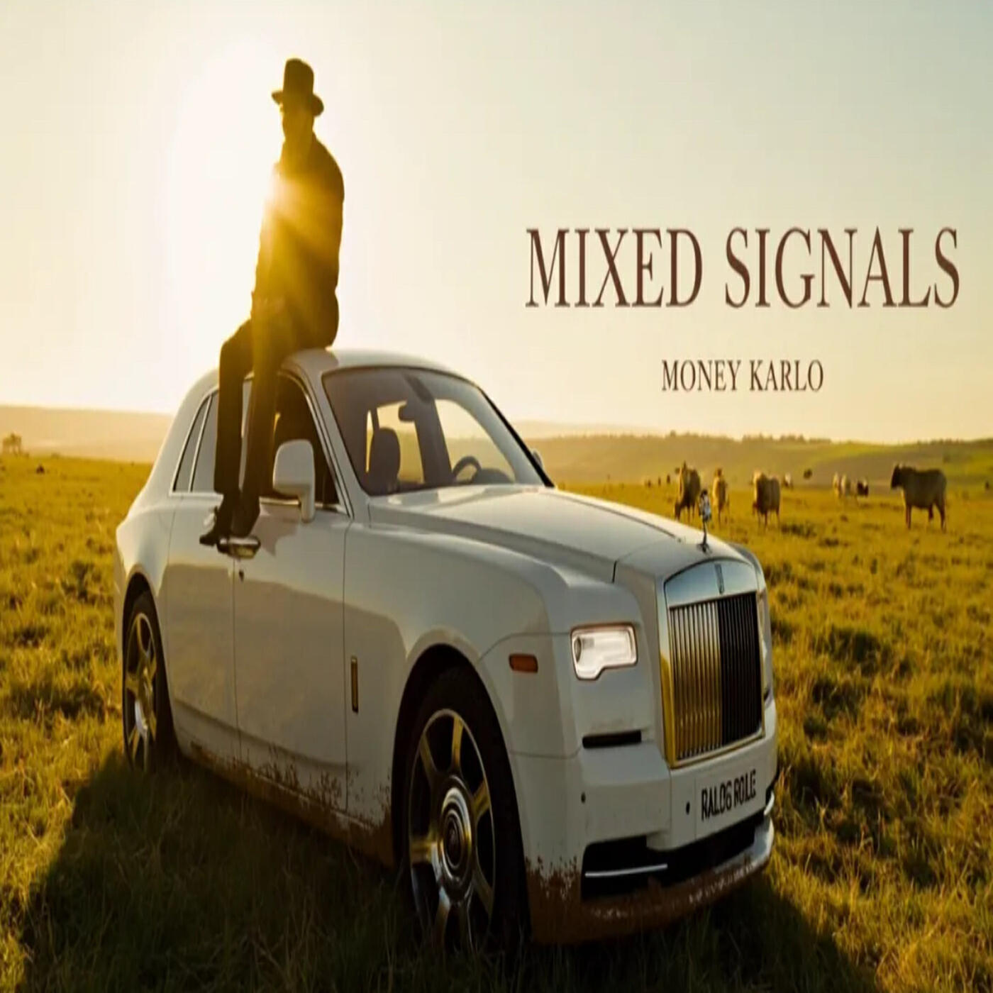 Релиз Mixed Signals