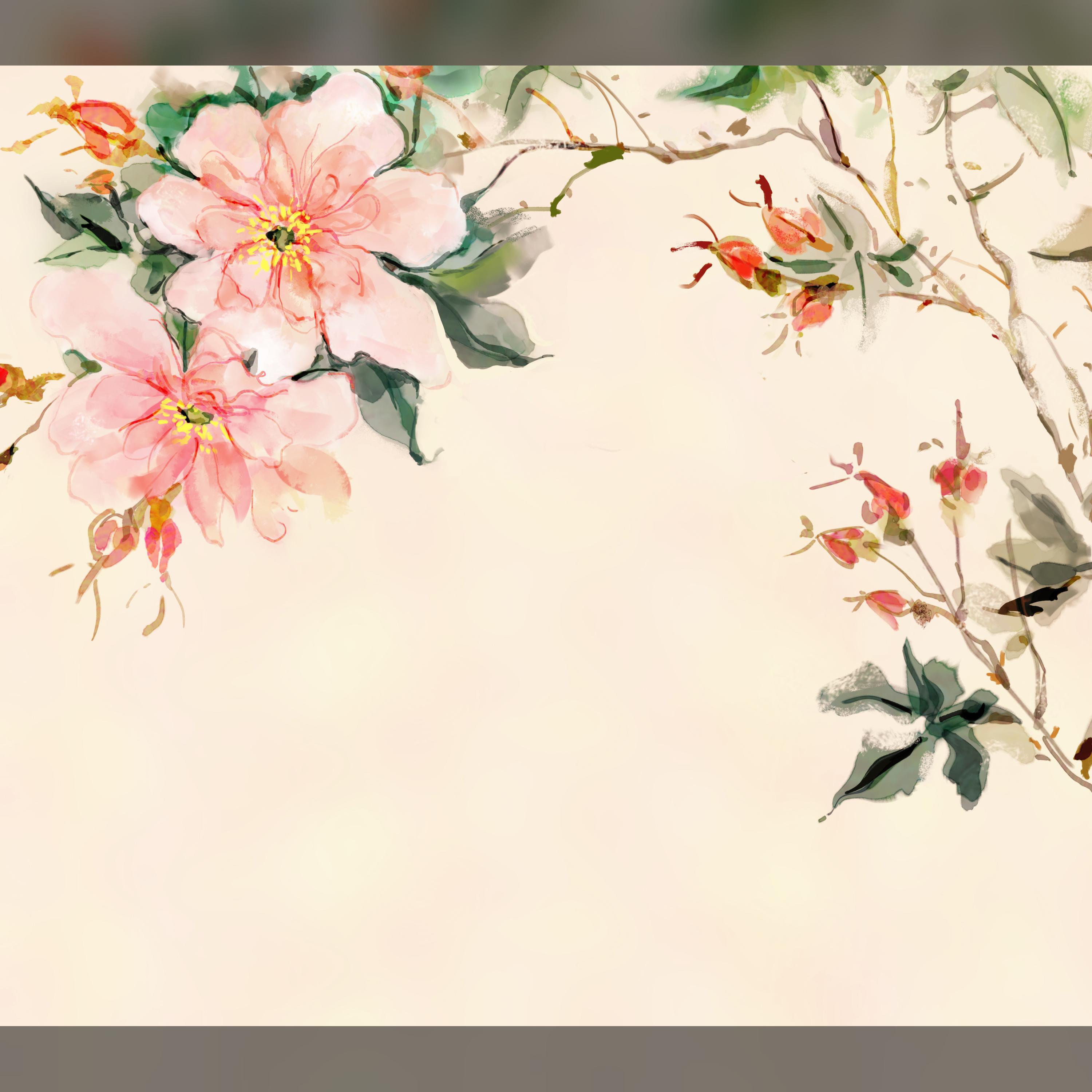 Релиз 白沙情