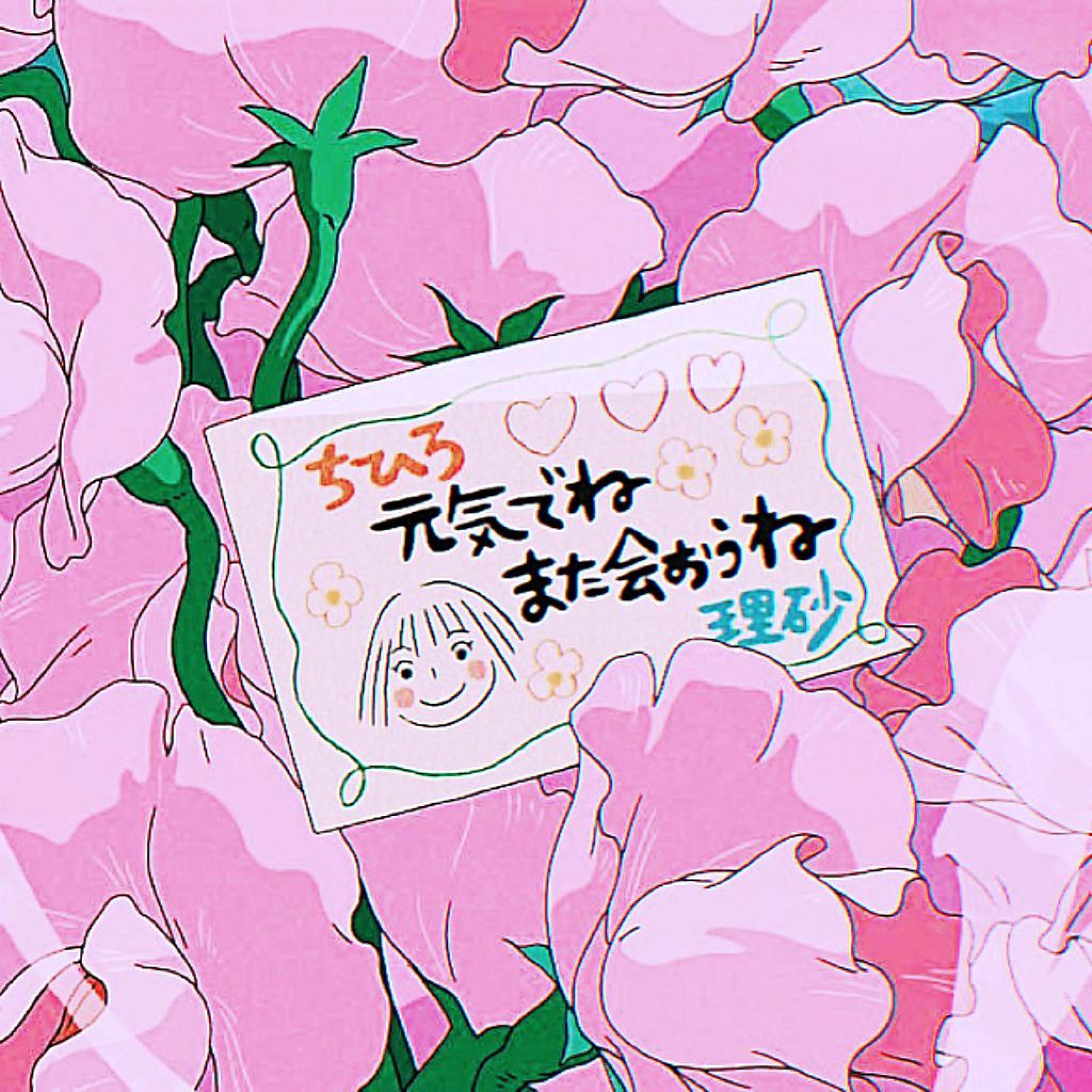 Релиз 樱花邮局0.8x