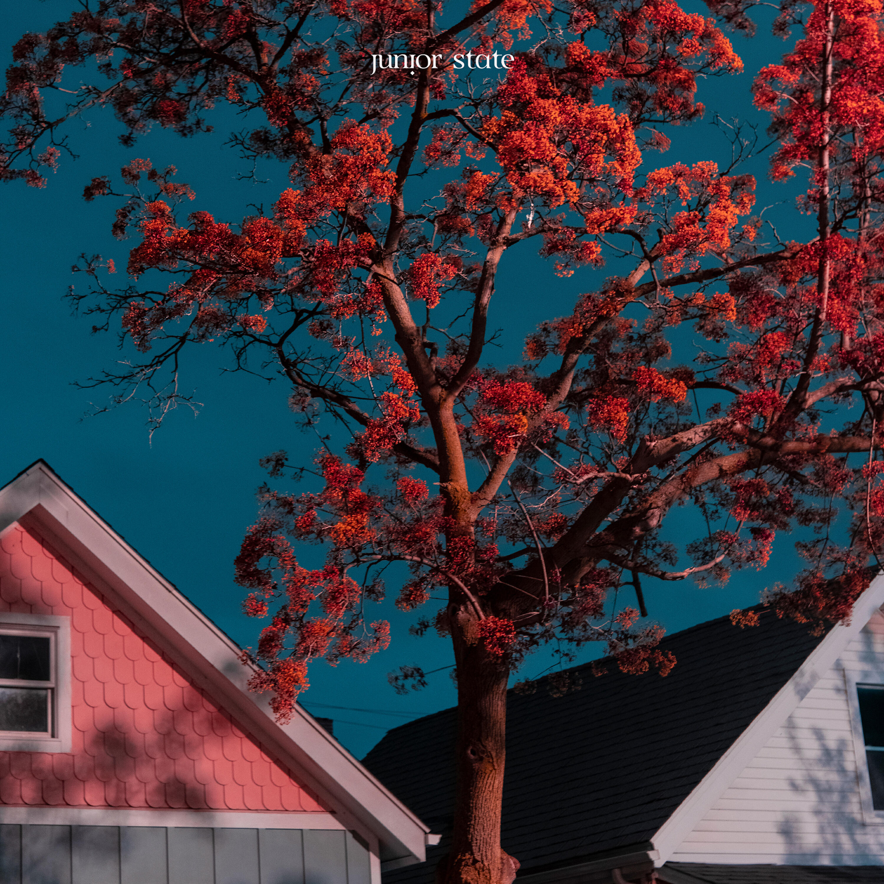 Релиз Have I Told You
