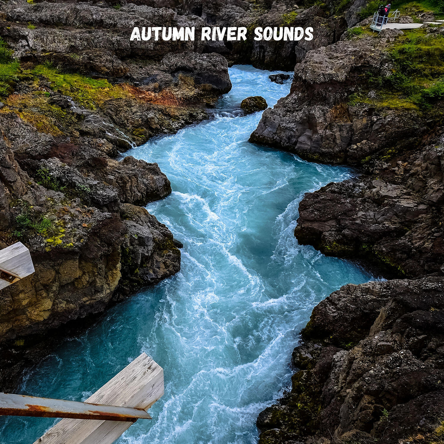 The Rivers and Streams & Studying Music & Hi Freq Samples - Calming Spring Night Music