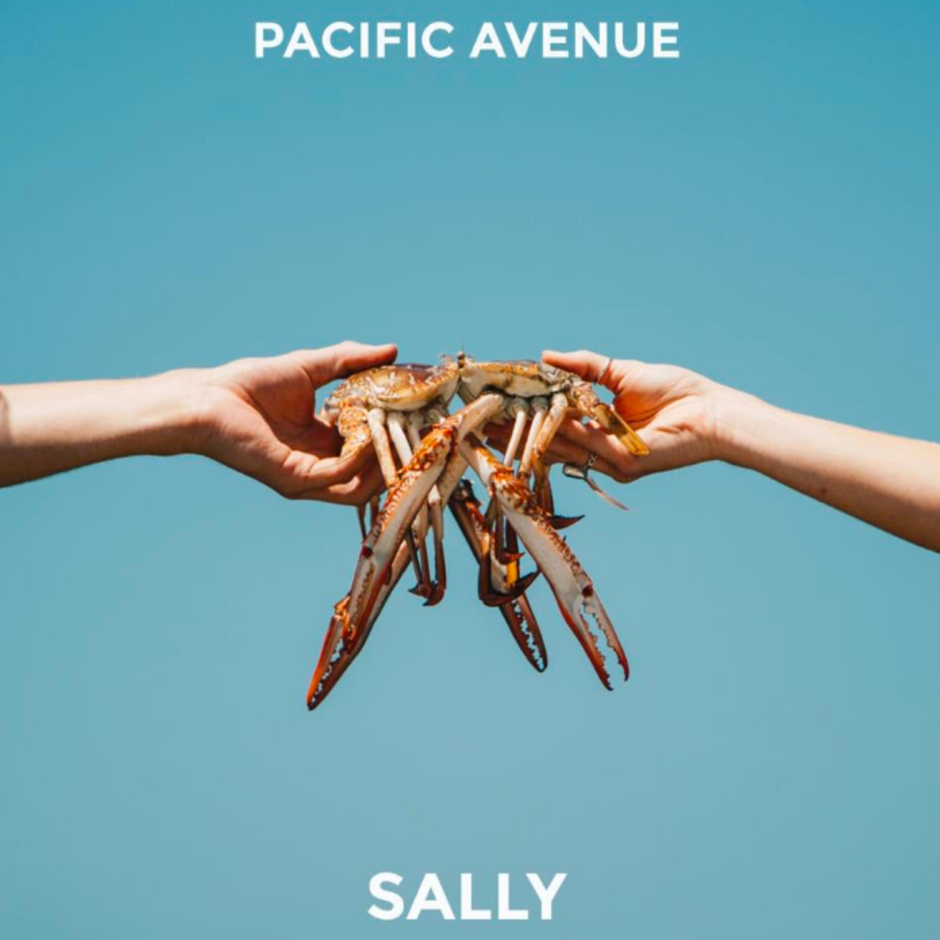 Релиз Sally