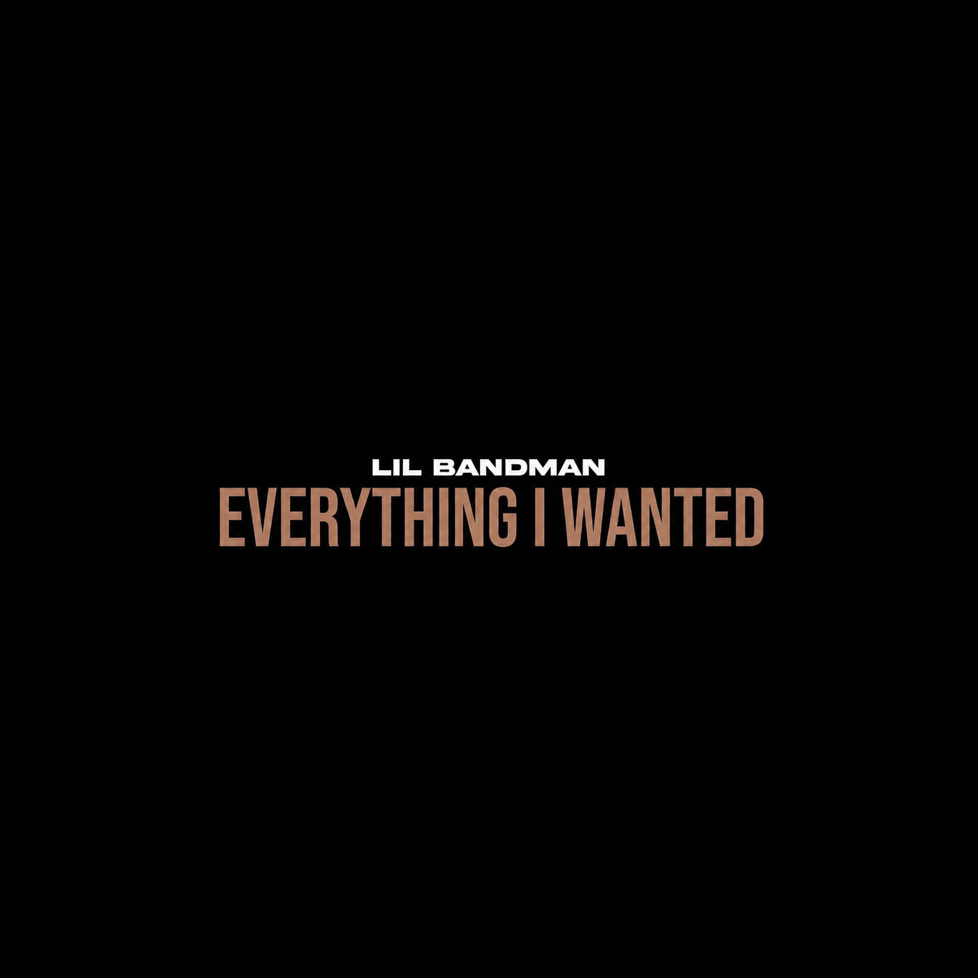 Релиз Everything I Wanted