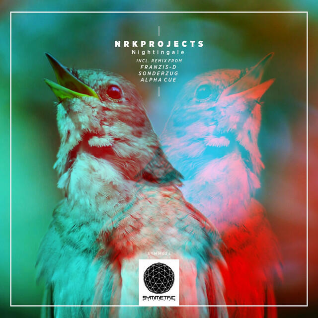 Релиз Nightingale