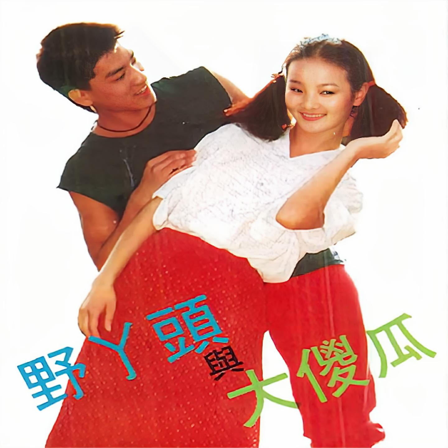 Релиз 野丫头与大傻瓜