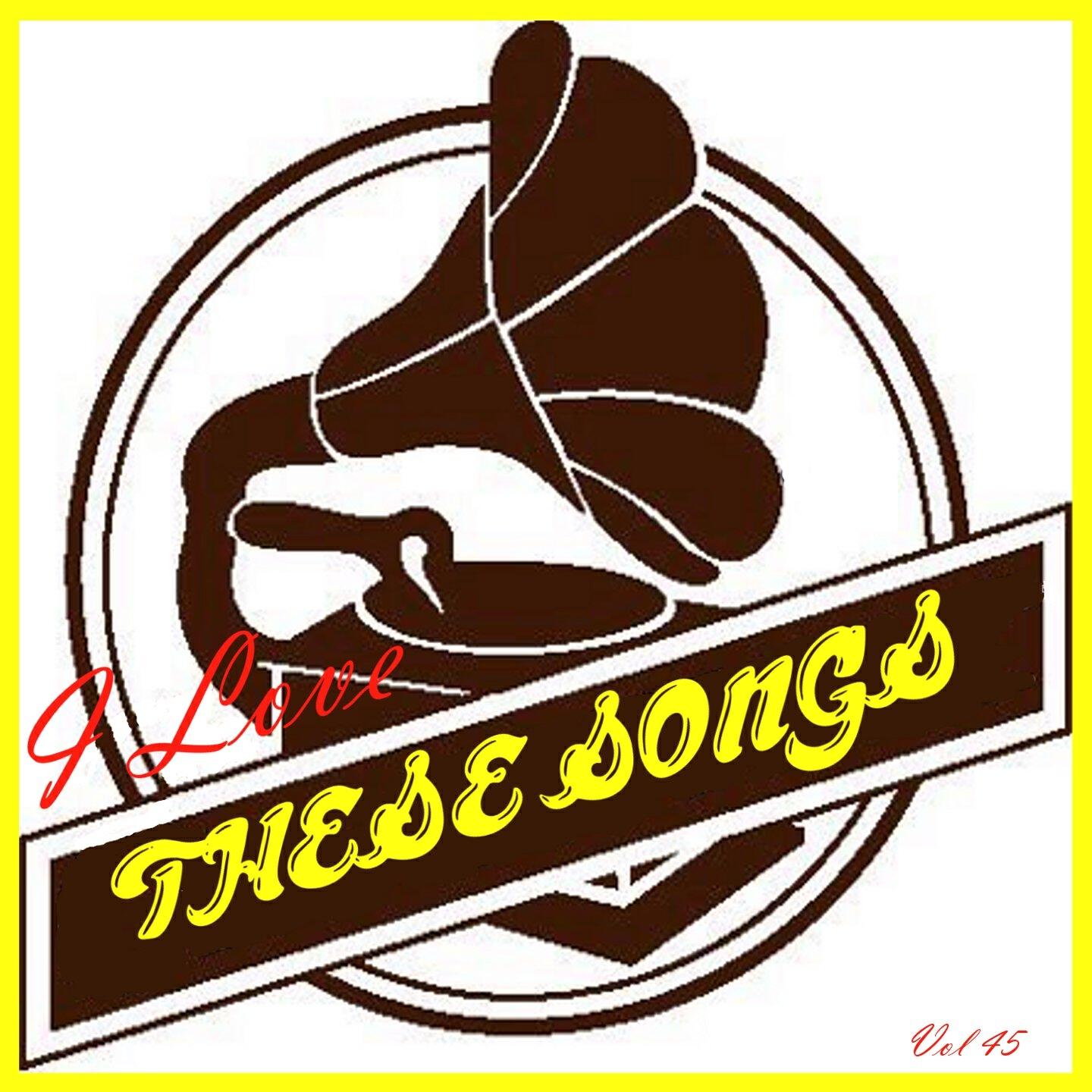 Постер альбома I Love These Songs, Vol. 45