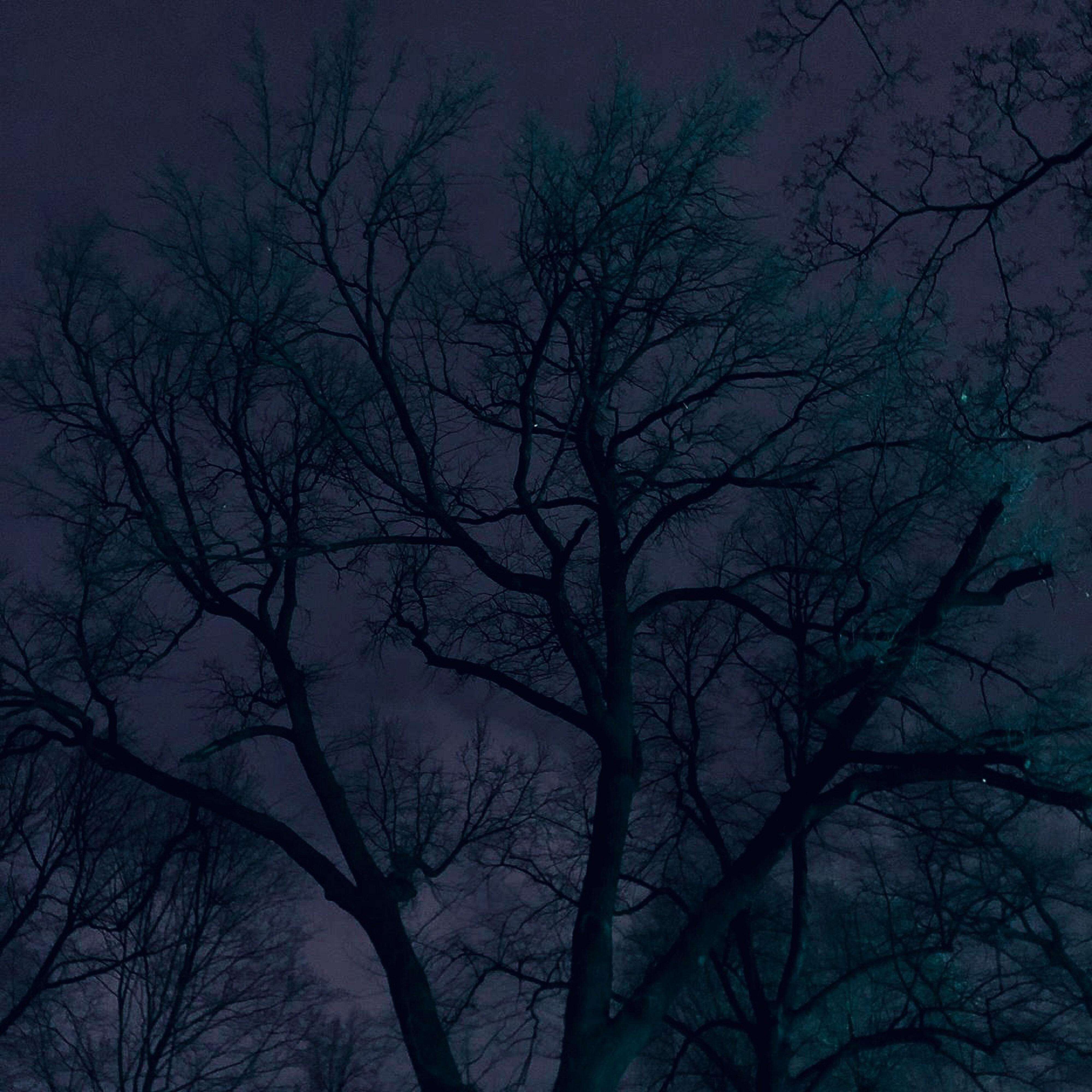 Релиз Bluezzz