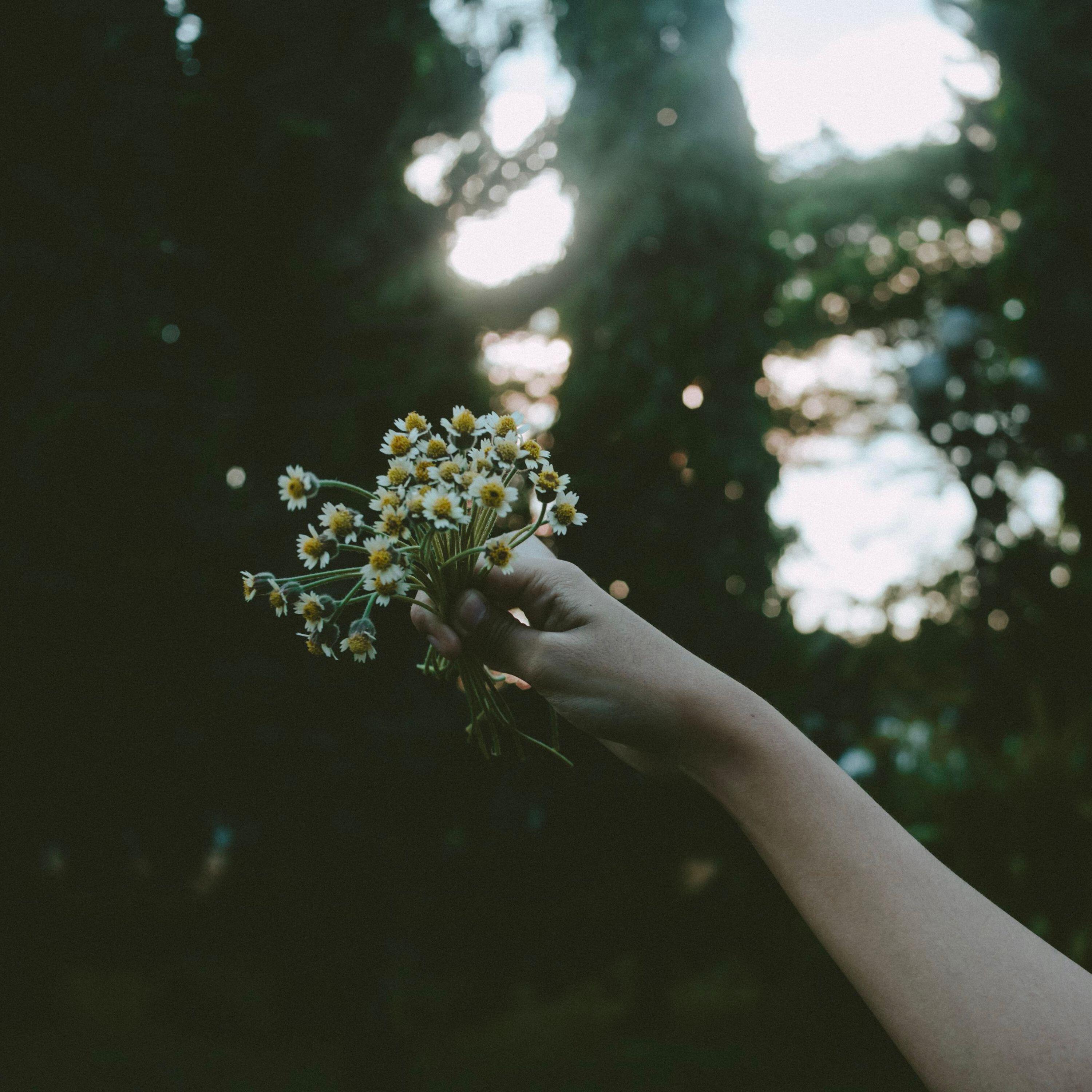 Релиз lovely