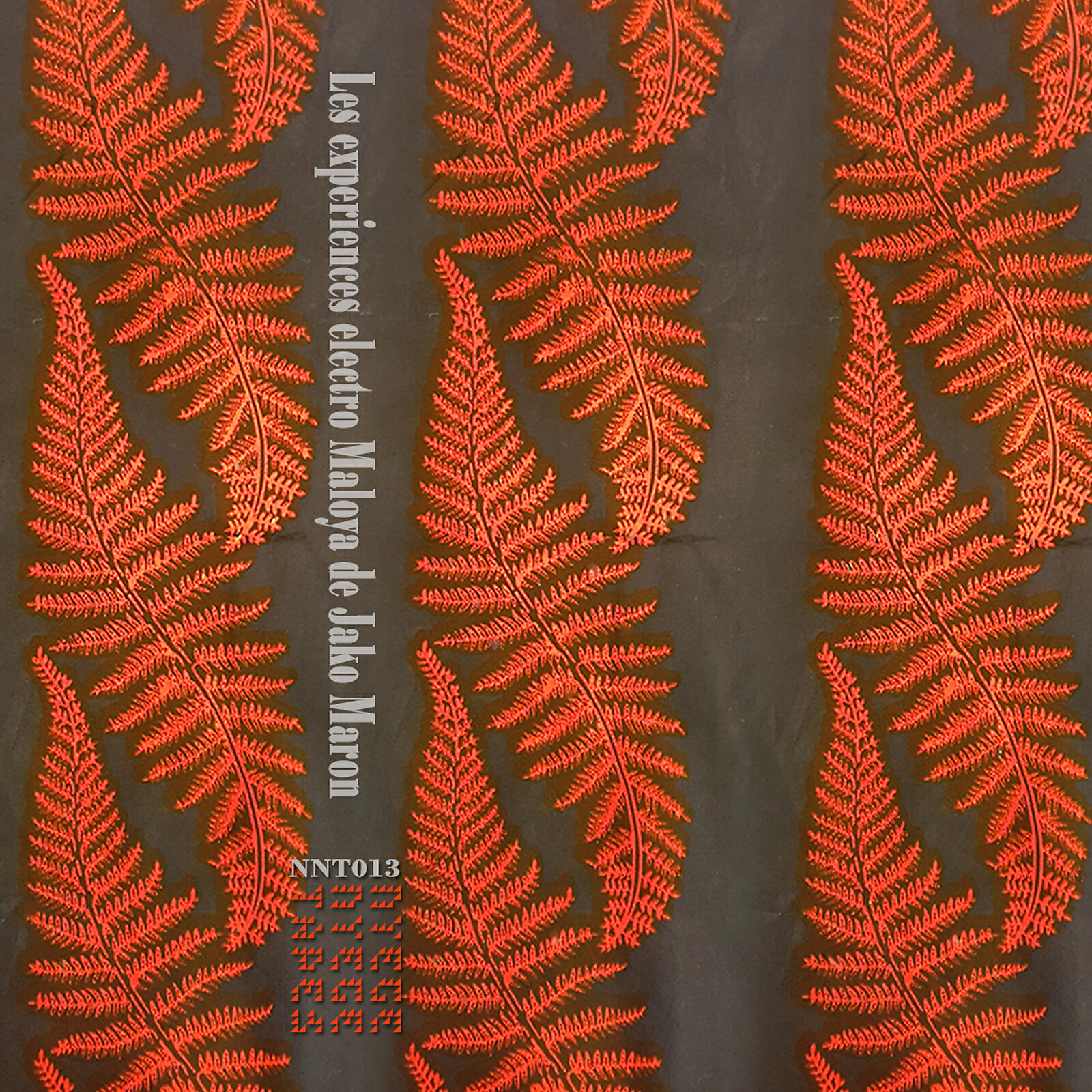 Релиз The Electro Maloya Experiments of Jako Maron