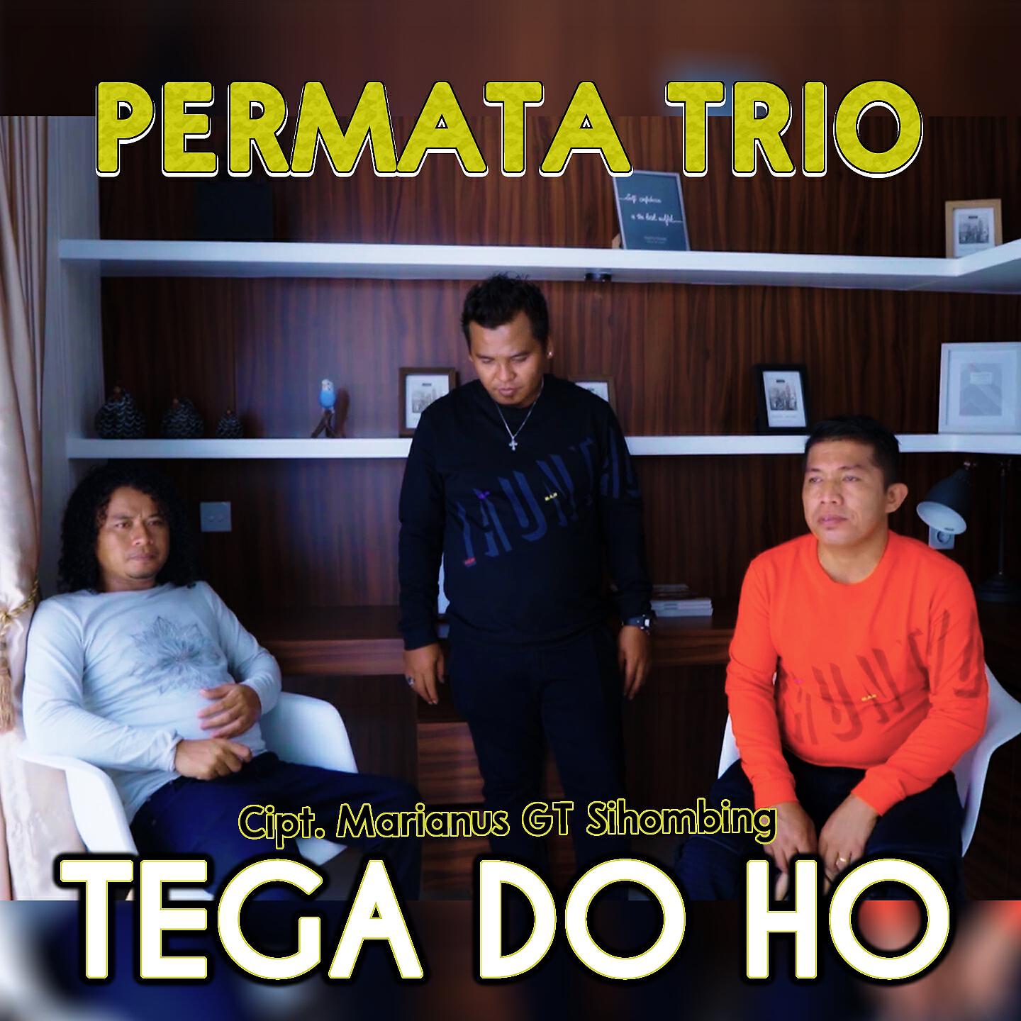 Релиз Tega Do Ho