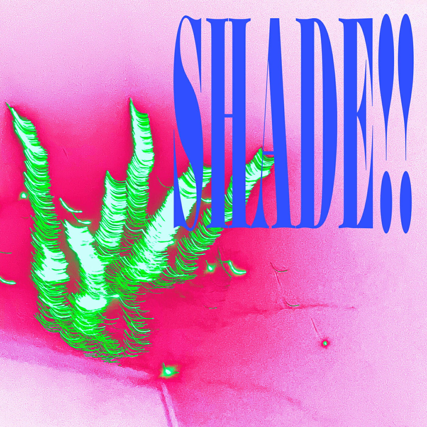 Релиз Shade!!