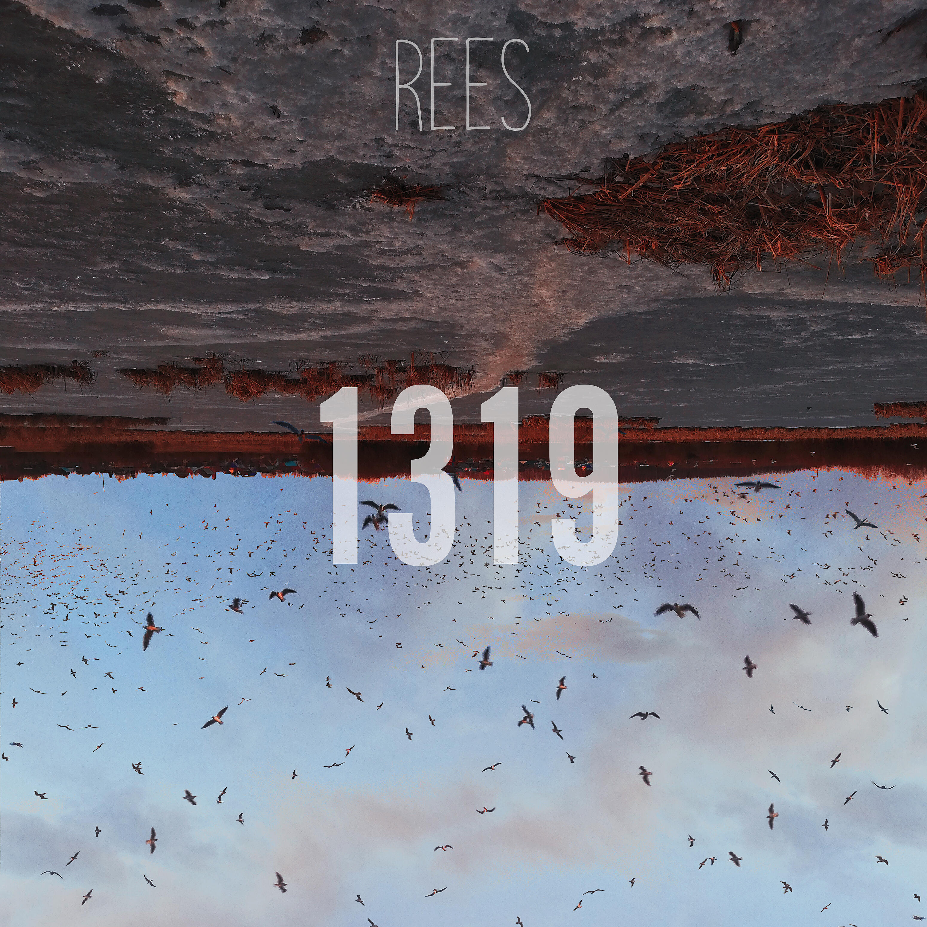 Релиз 1319