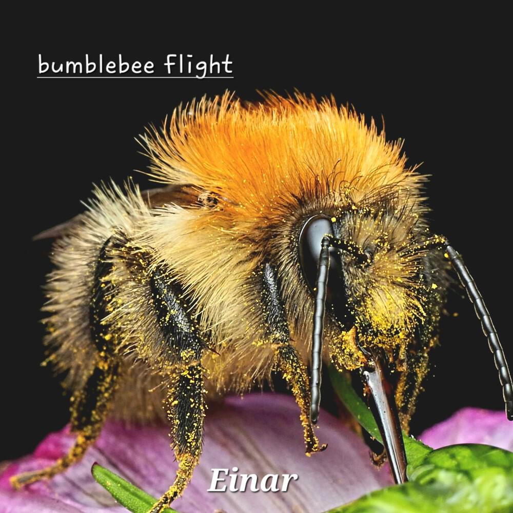 Релиз bumblebee flight