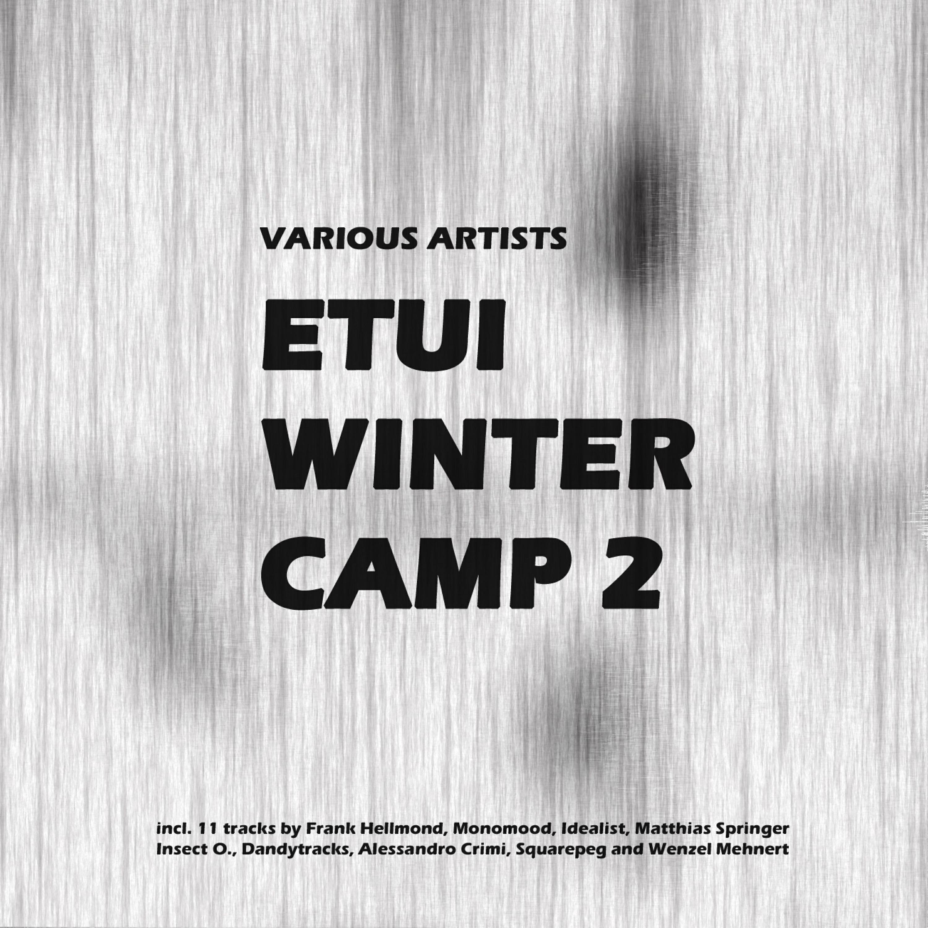 Постер альбома Etui Winter Camp 2