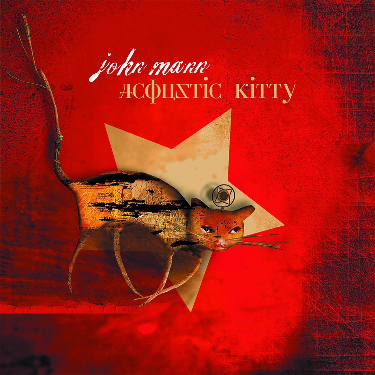 Релиз Acoustic Kitty