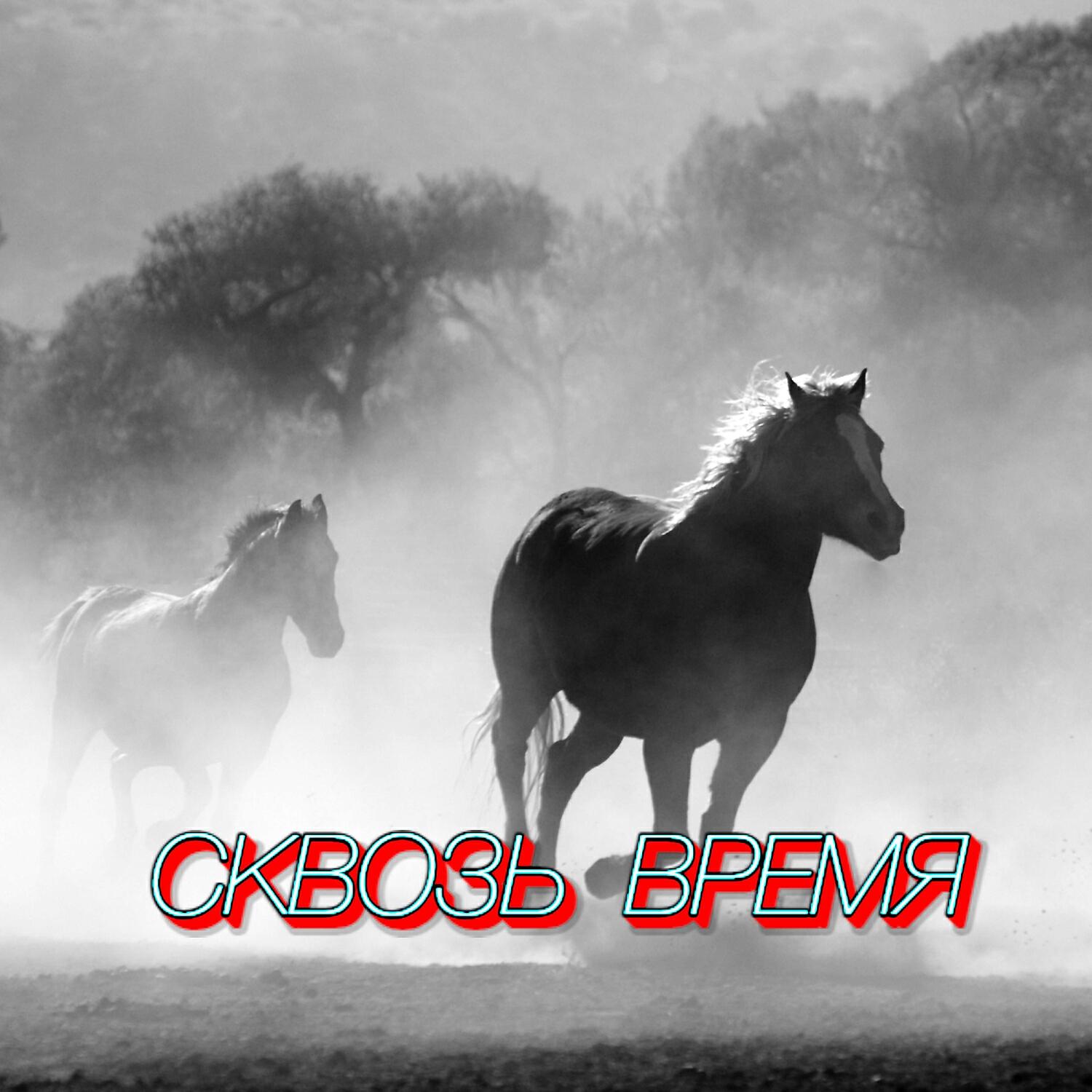 Постер альбома СКВОЗЬ ВРЕМЯ