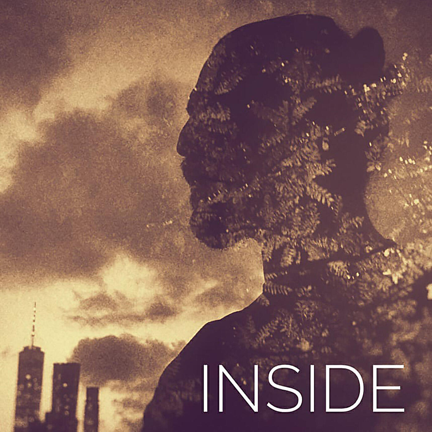 Постер альбома Inside