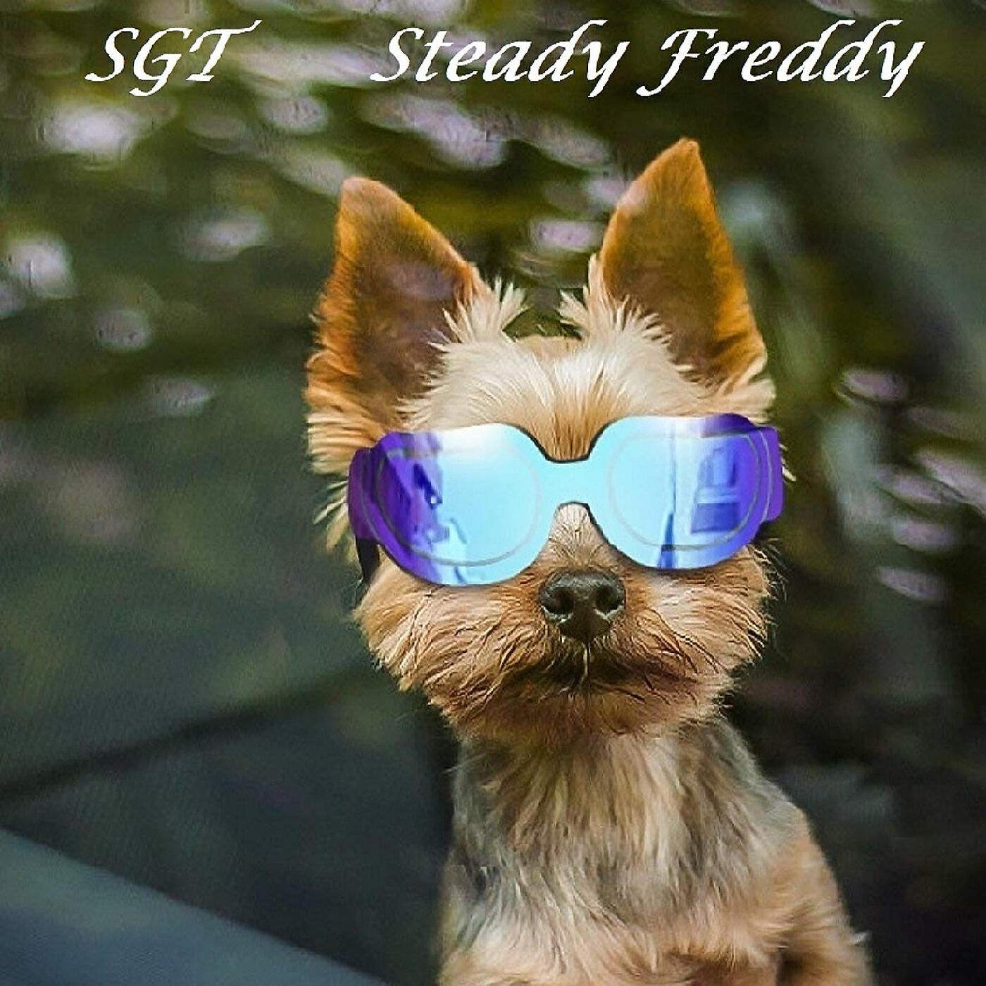 Релиз Sgt Steady Freddy
