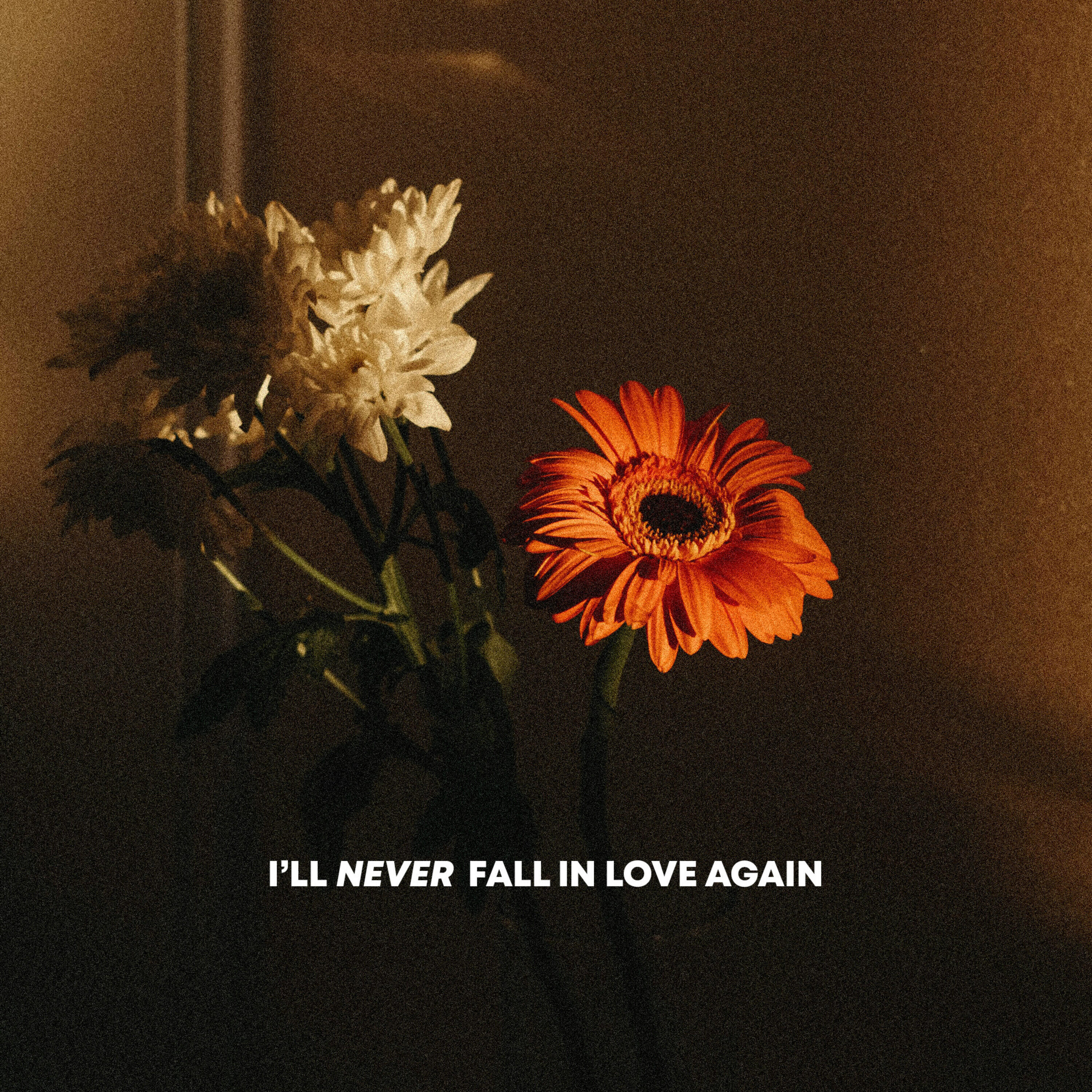 Релиз I'll Never Fall in Love Again