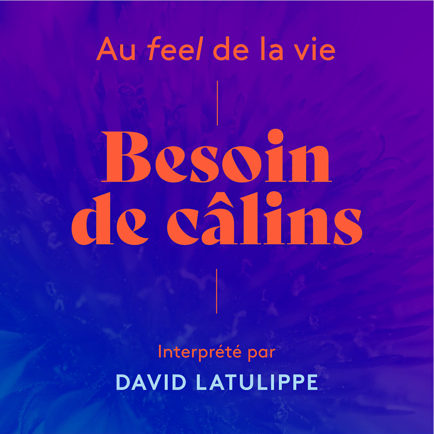 Релиз Besoin de calins