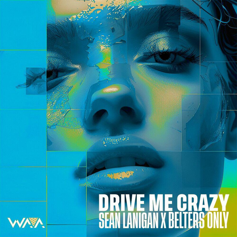 Релиз Drive Me Crazy